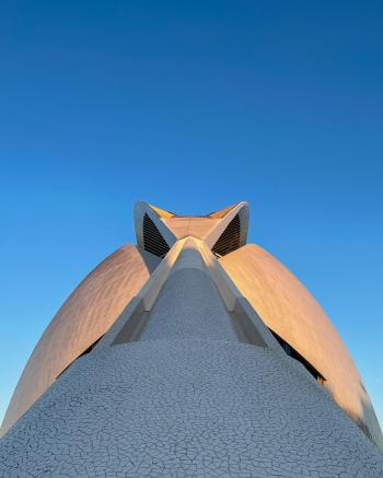 Fondo de Pantalla de pexels_17393304.jpg