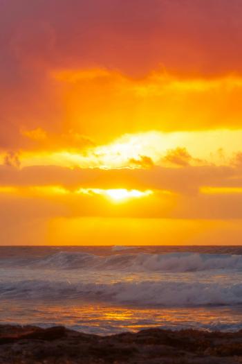 Fondo de Pantalla de pexels_25020019.jpg