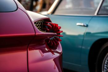 Fondo de Pantalla de pexels_29648186.jpg