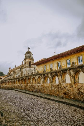 Fondo de Pantalla de pexels_10735636.jpg