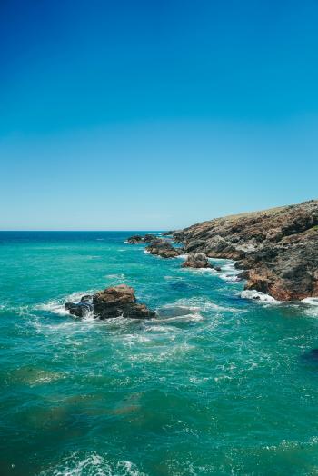 Fondo de Pantalla de pexels_11070712.jpg