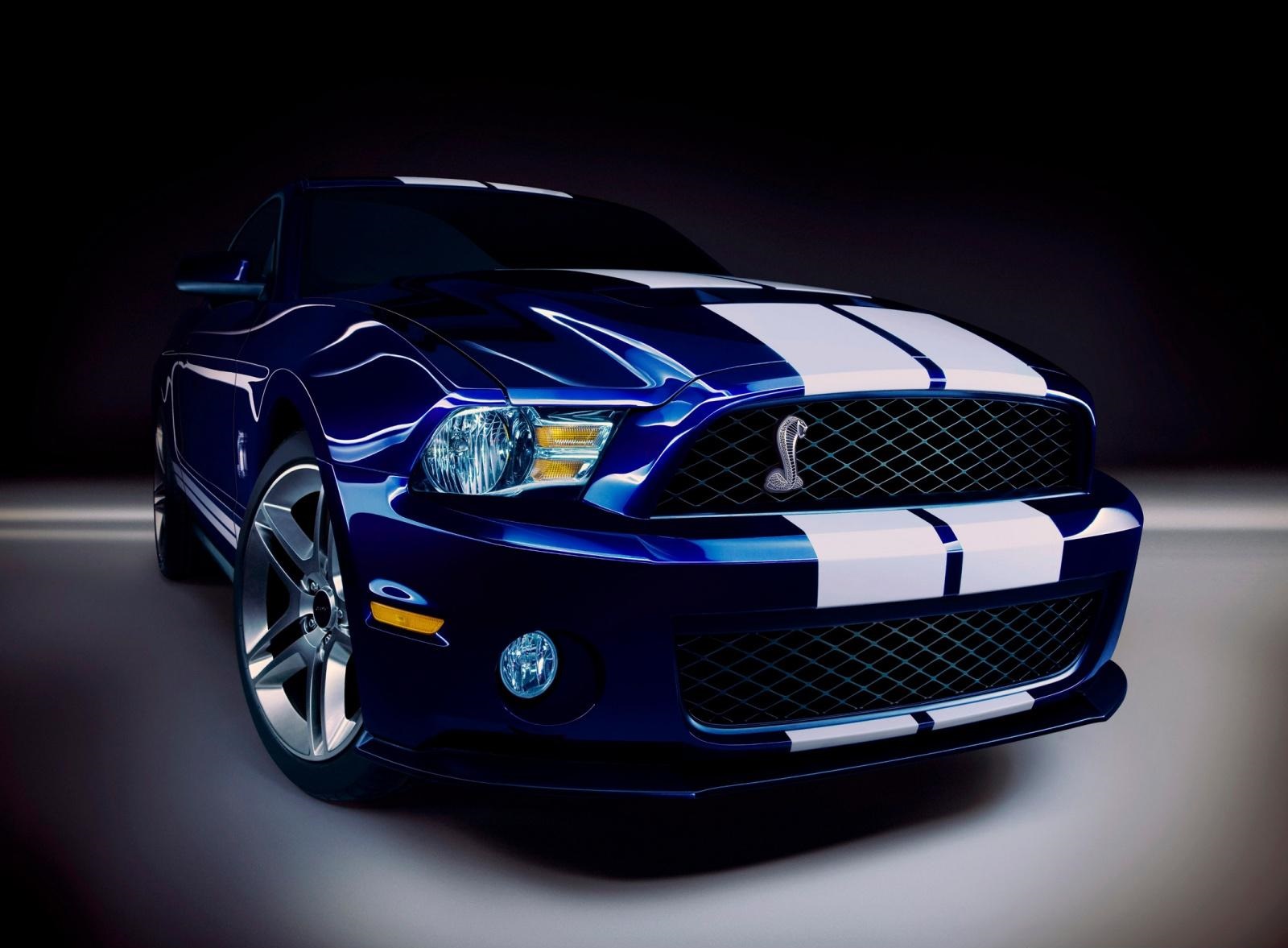 2010 Ford Shelby GT500 wallpaper