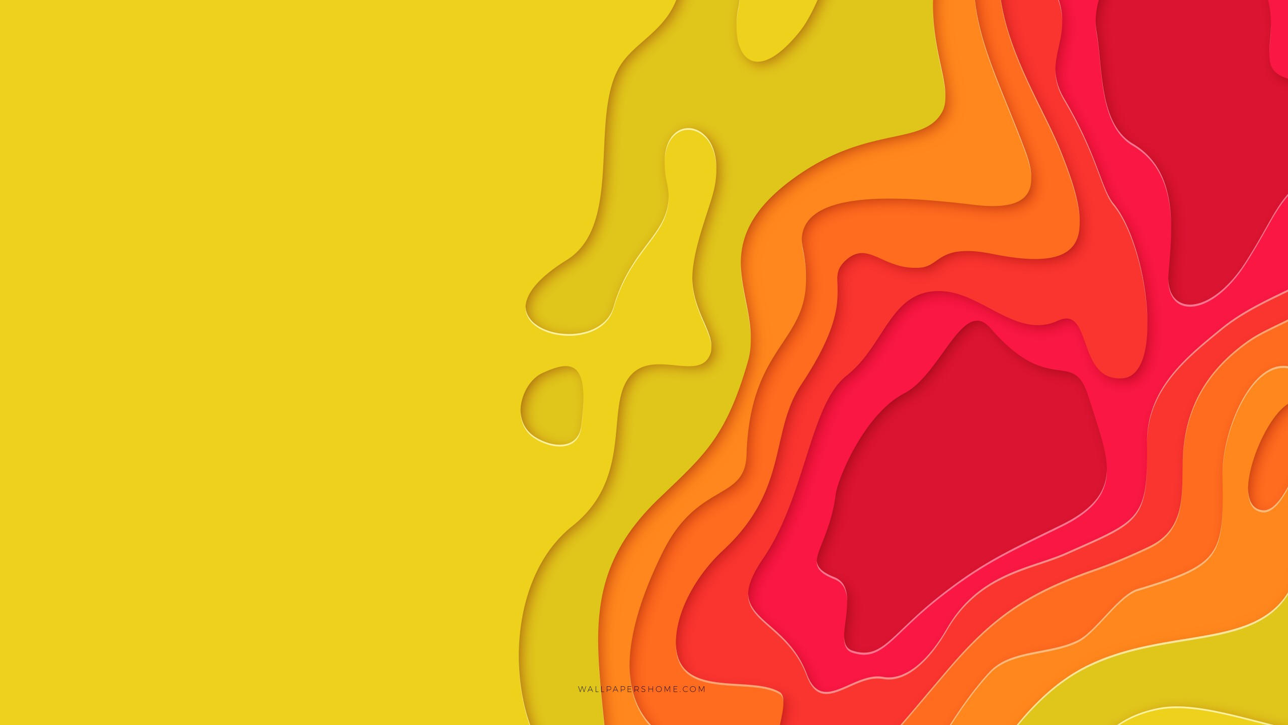 Abstract 2560x1440 3d colorful 8k