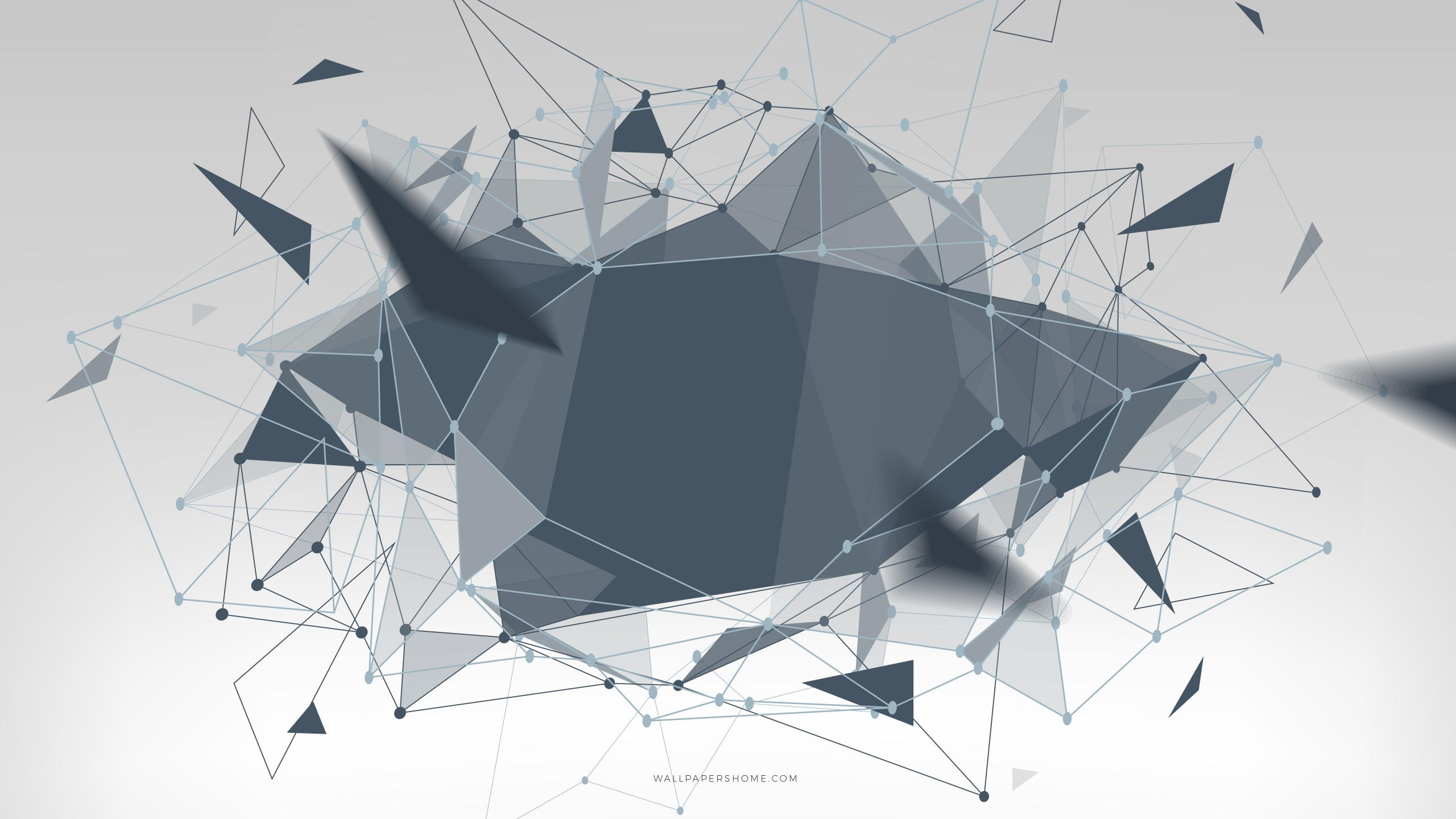 Abstract 2560x1440 3d colorful 8k