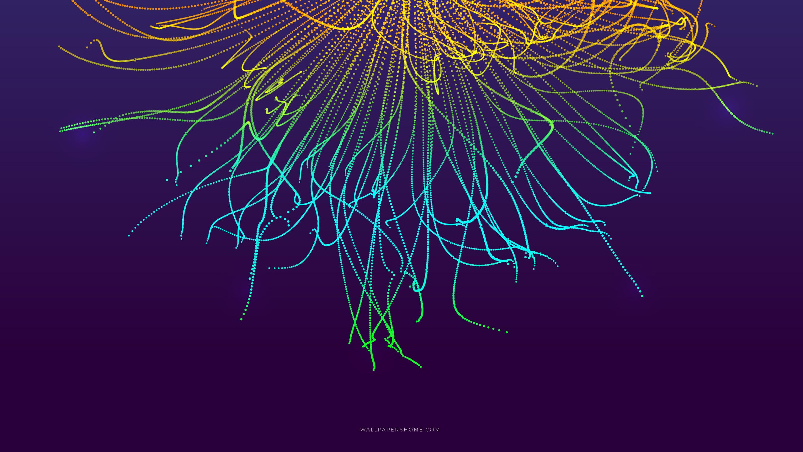 Abstract 2560x1440 3d colorful 8k