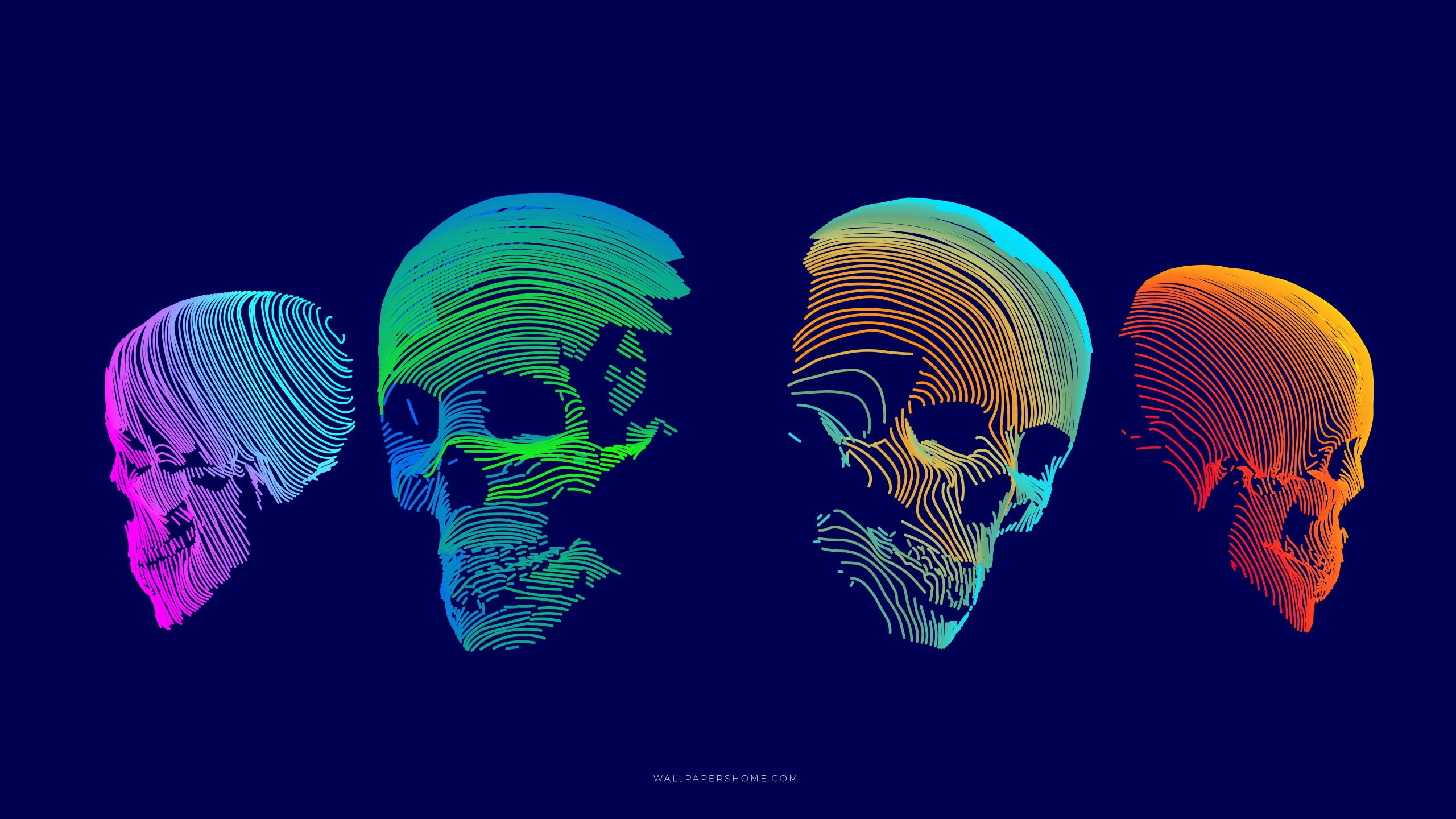 Abstract 2560x1440 3d colorful skull 8k