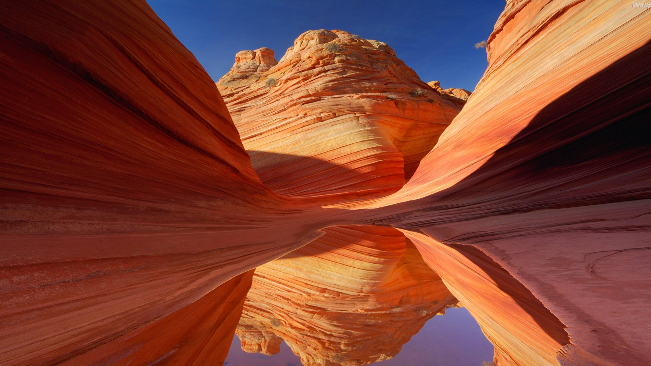Antelope canyon 2560x1440 arizona usa 4k