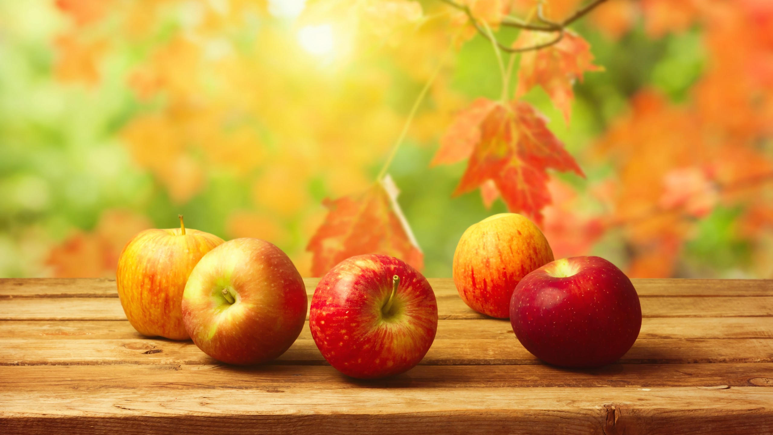 Apple 2560x1440 fruit autumn 4k