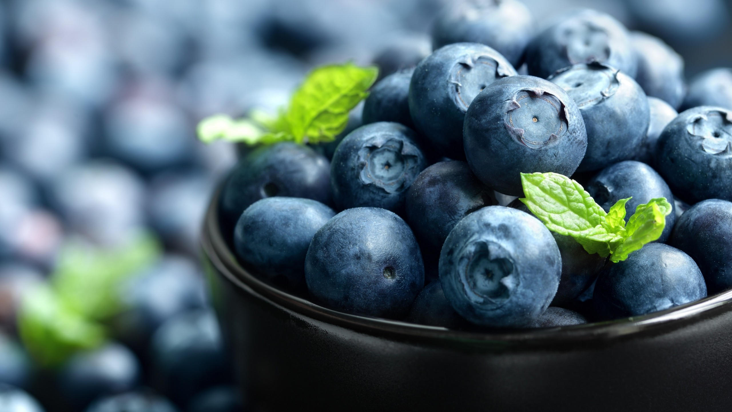 Blueberry 2560x1440 berries 4k