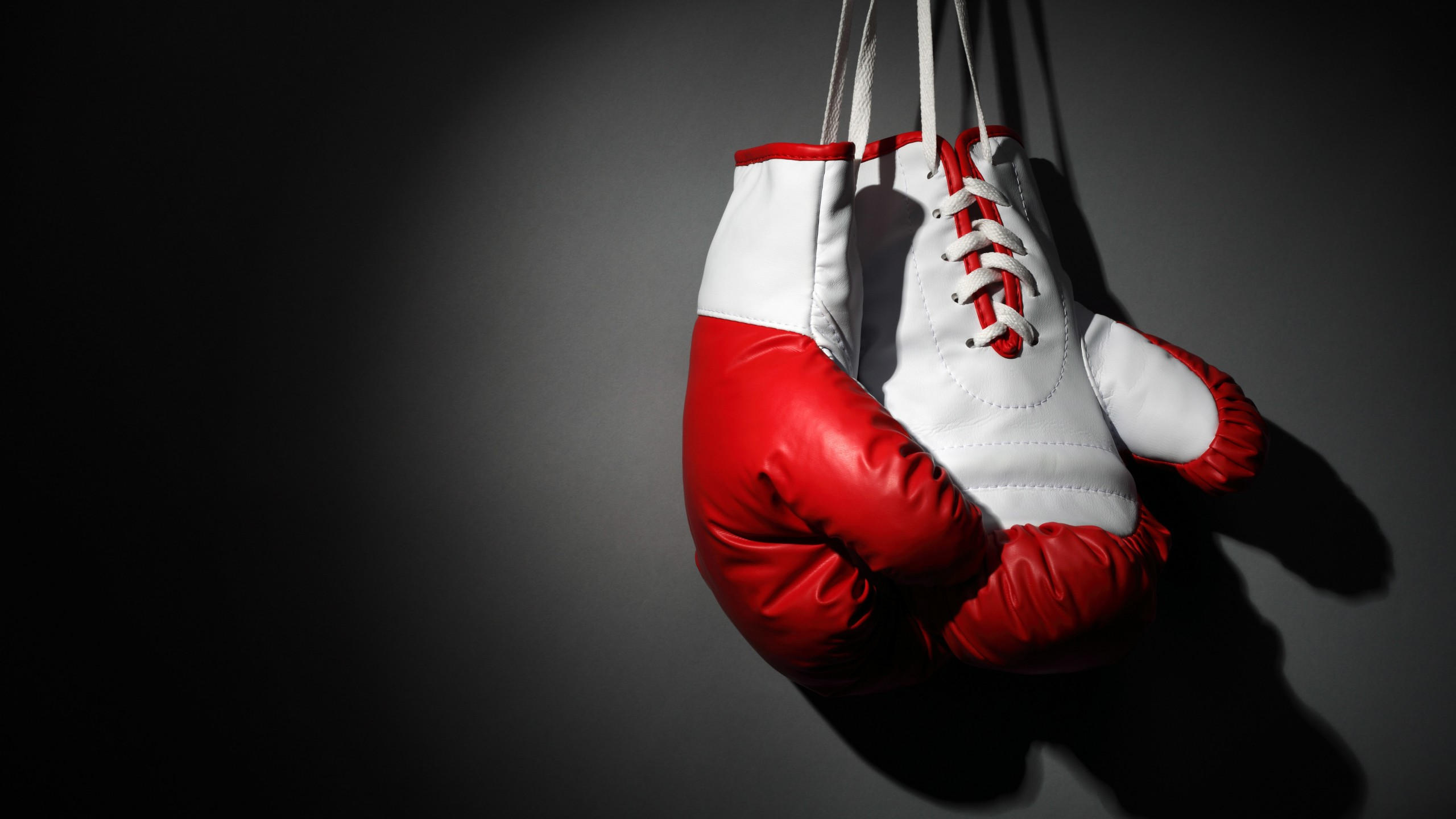 Boxing gloves 2560x1440 red white boxing