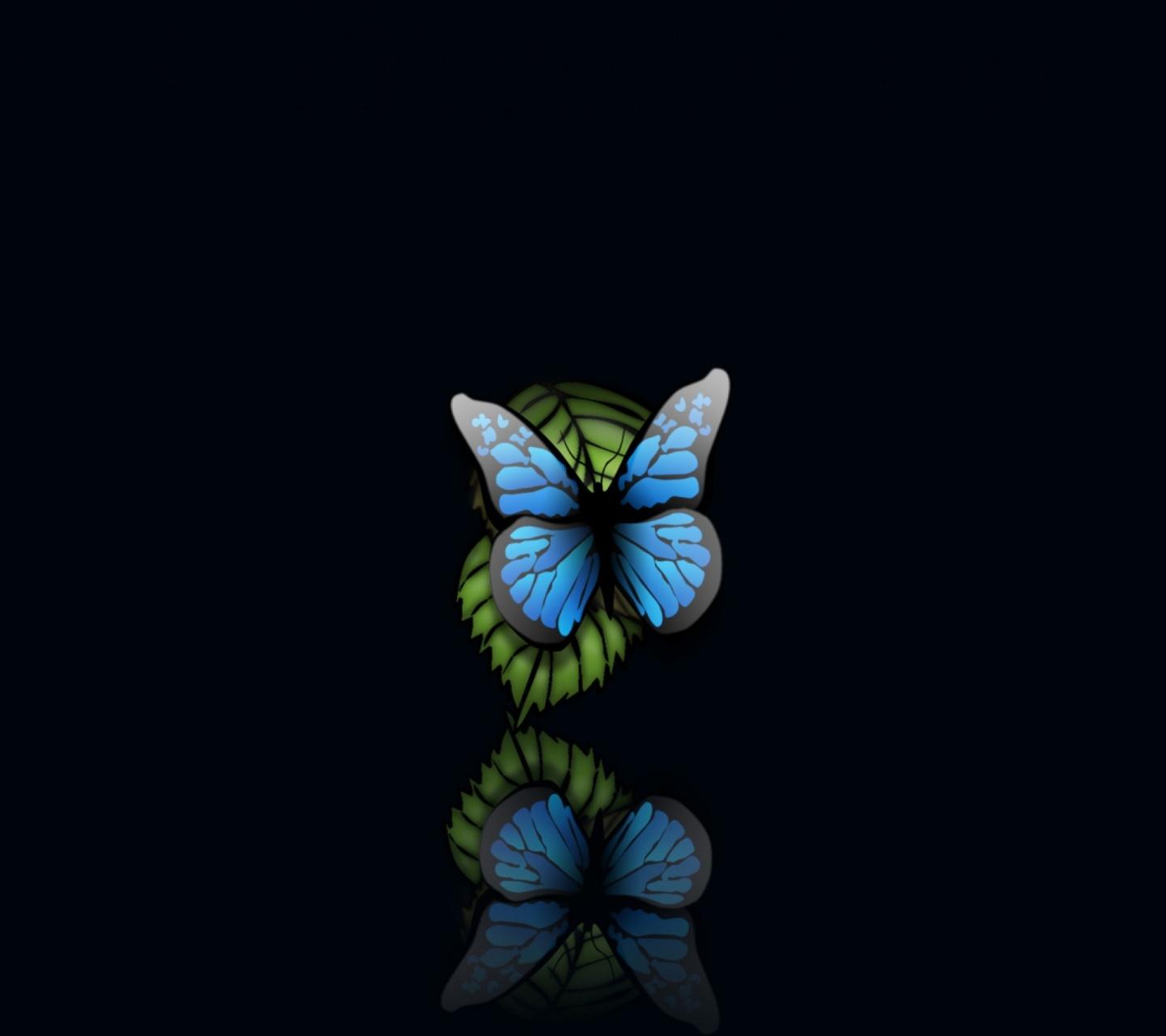 Butterfly 1
