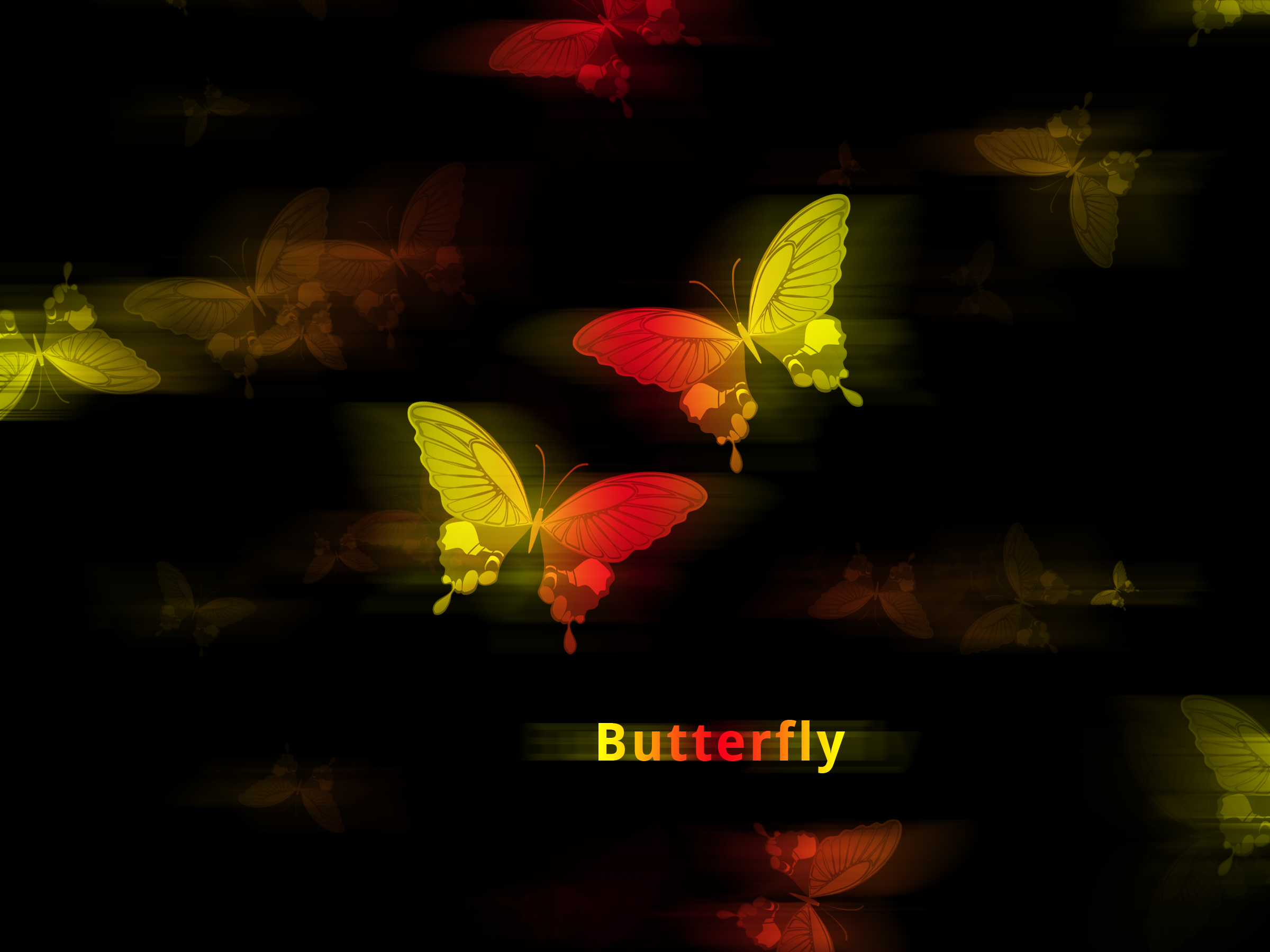 butterfly