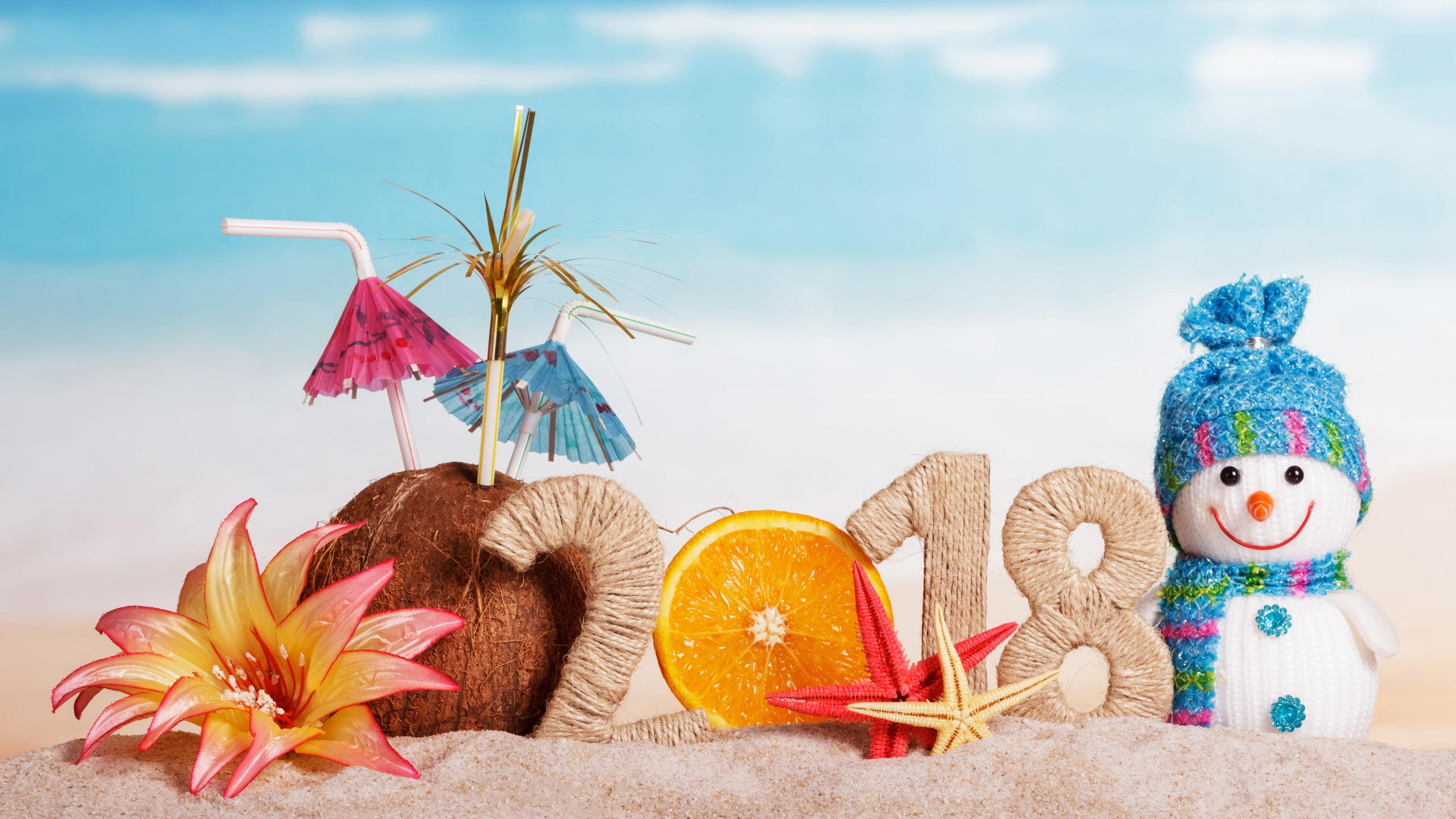 Christmas 2560x1440 new year 2018 snowman orange coconut 8k