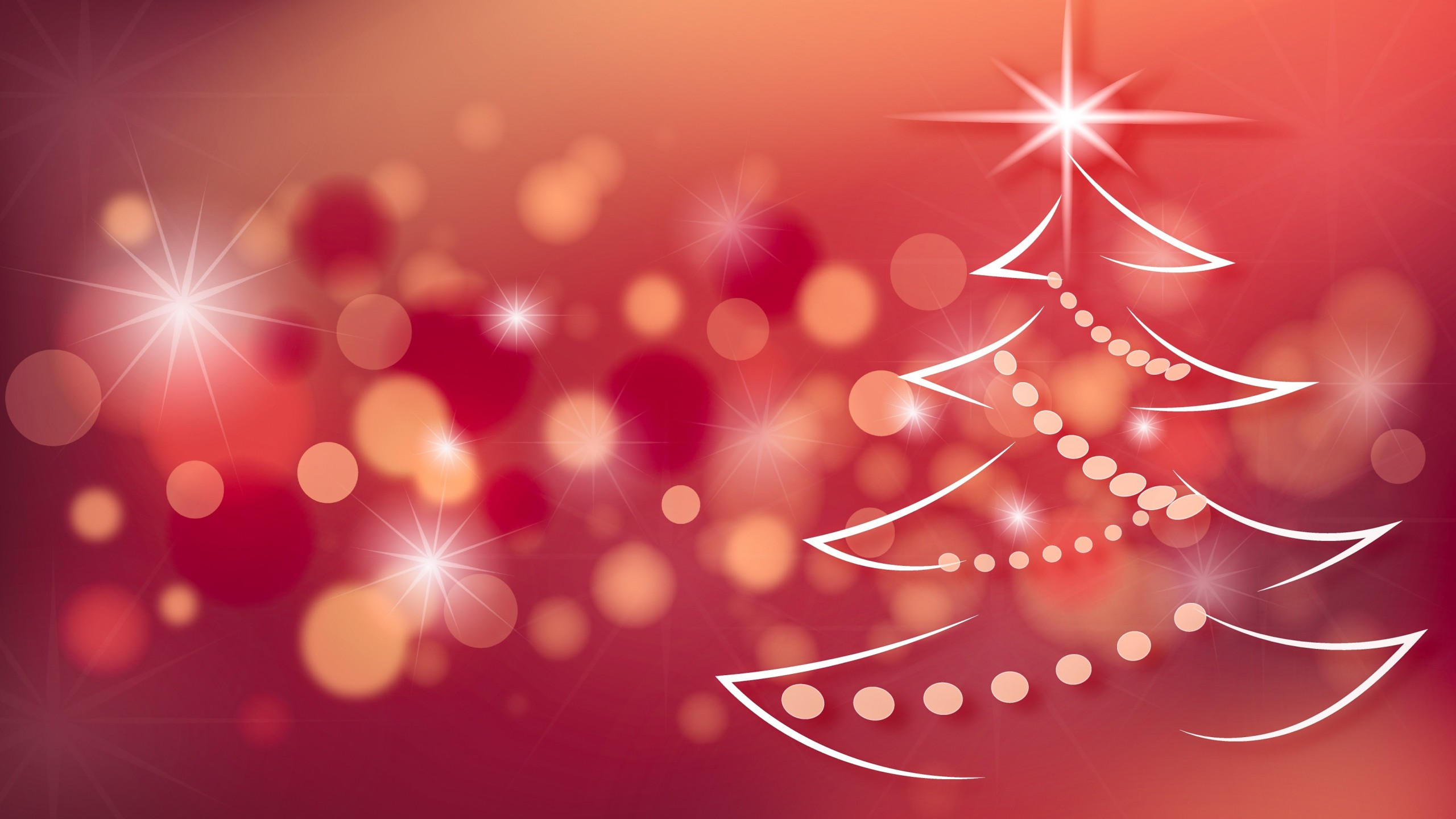 Christmas 2560x1440 new year fir tree 4k