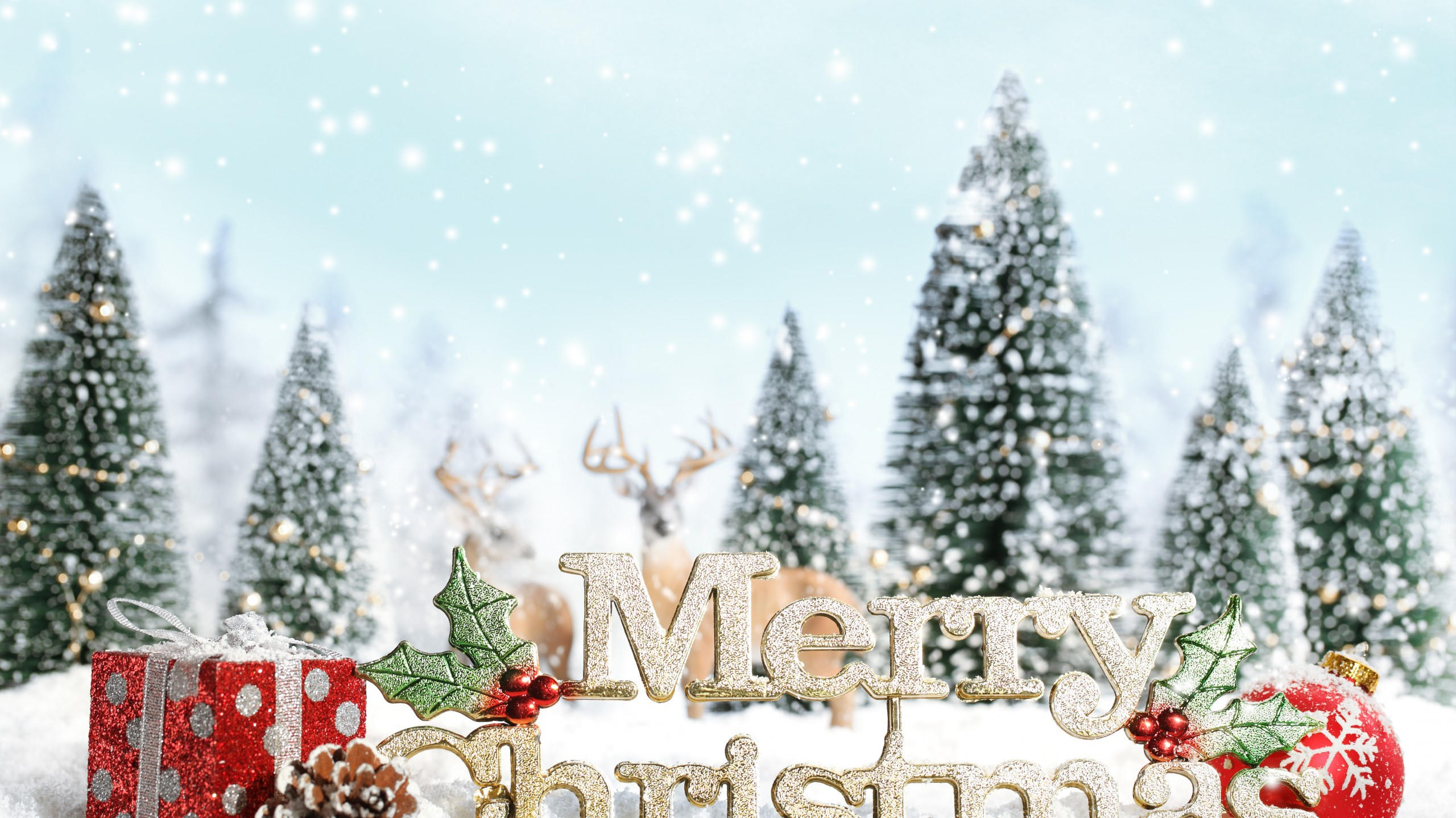 Christmas 2560x1440 snow gifts fir tree 5k