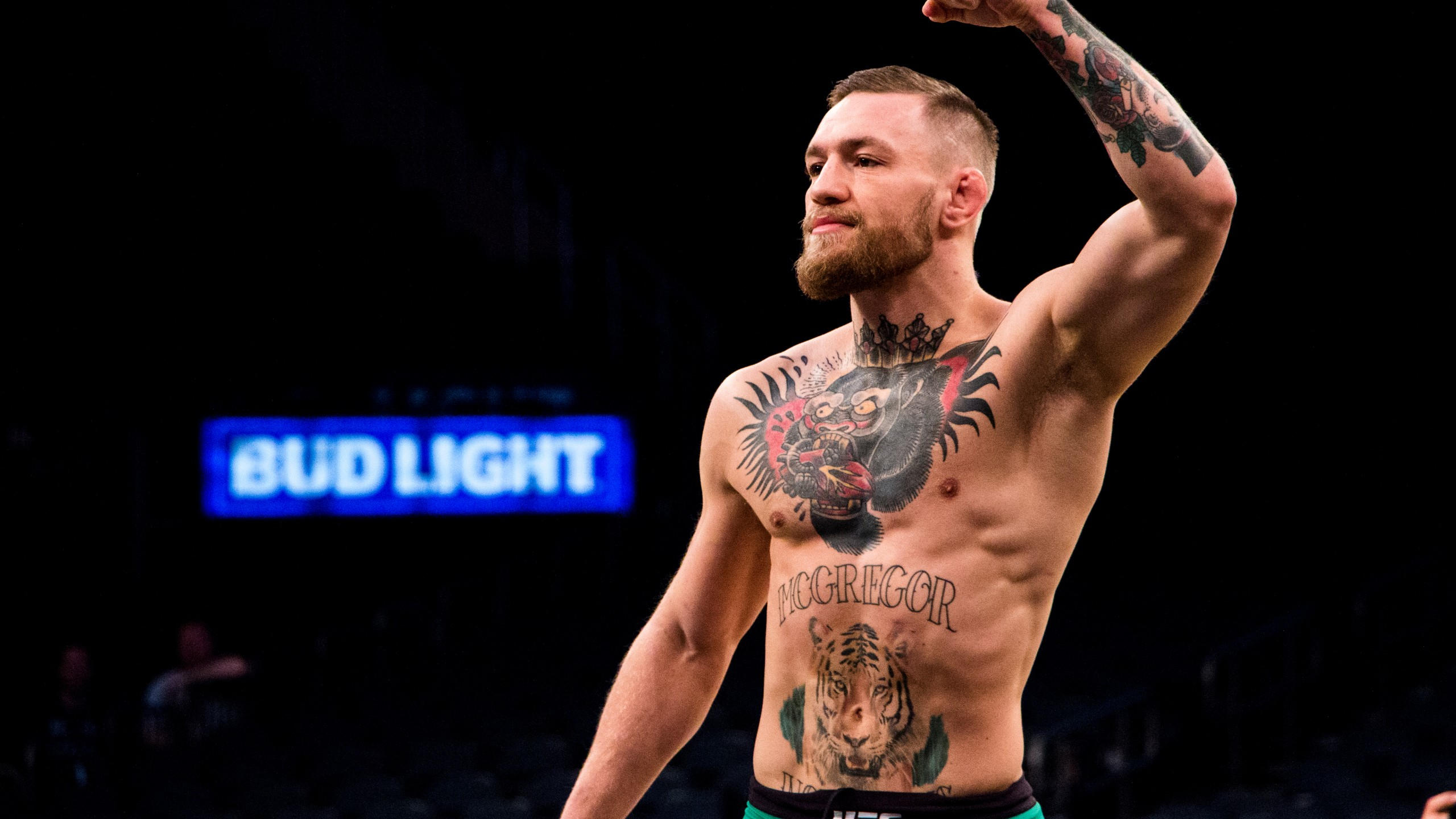 Conor mcgregor 2560x1440 boxing 4k