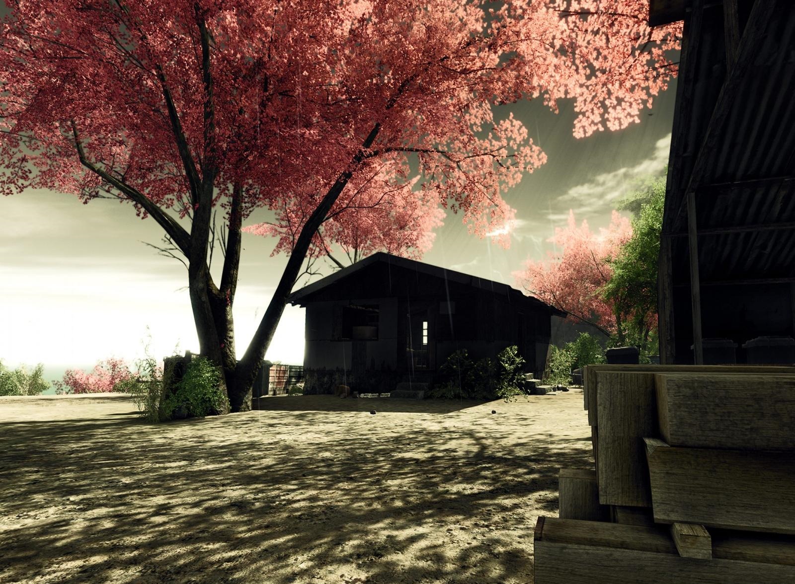 Crysis Screenshots Sakura wallpaper