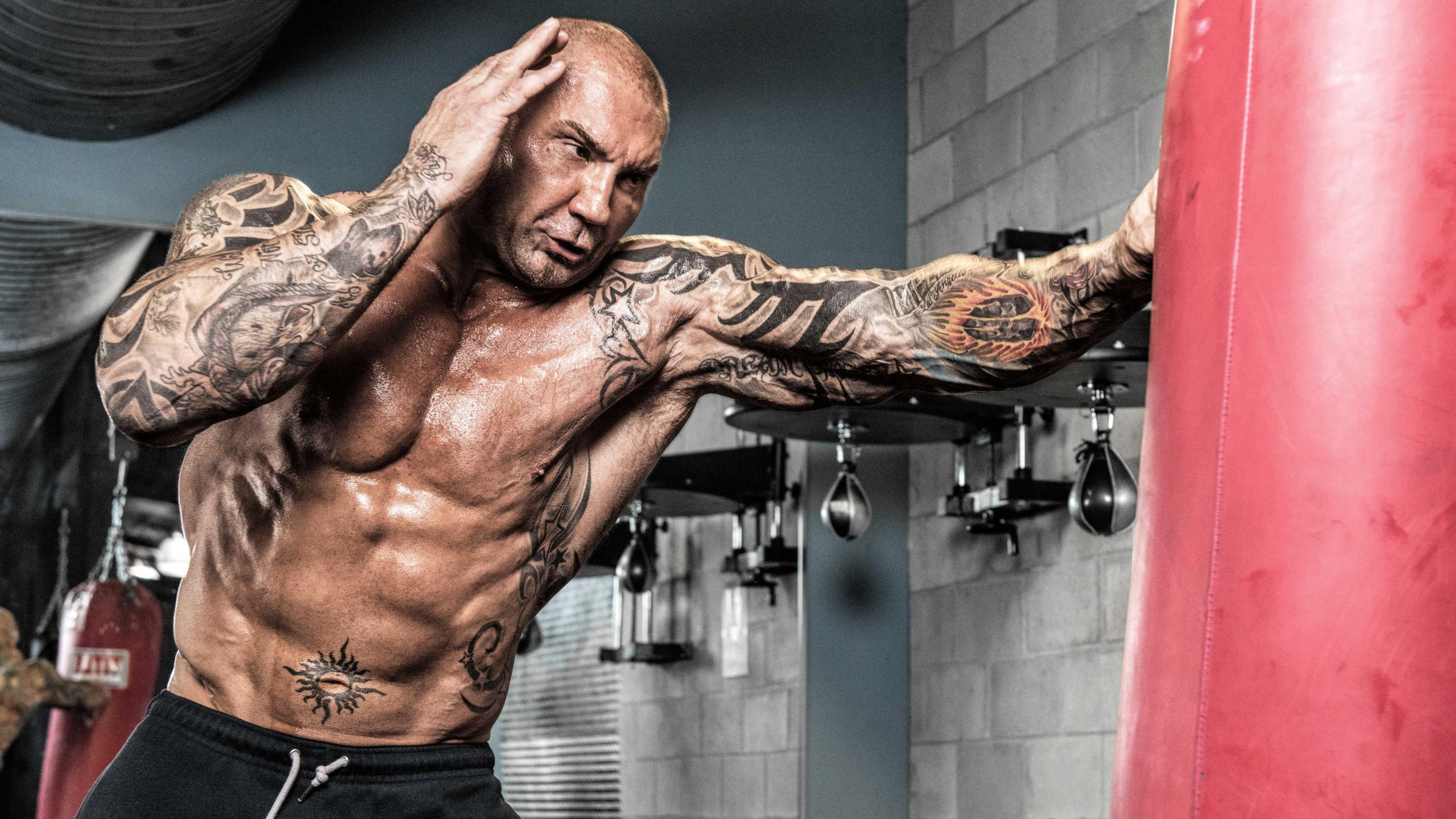 Dave bautista 2560x1440 boxing 4k