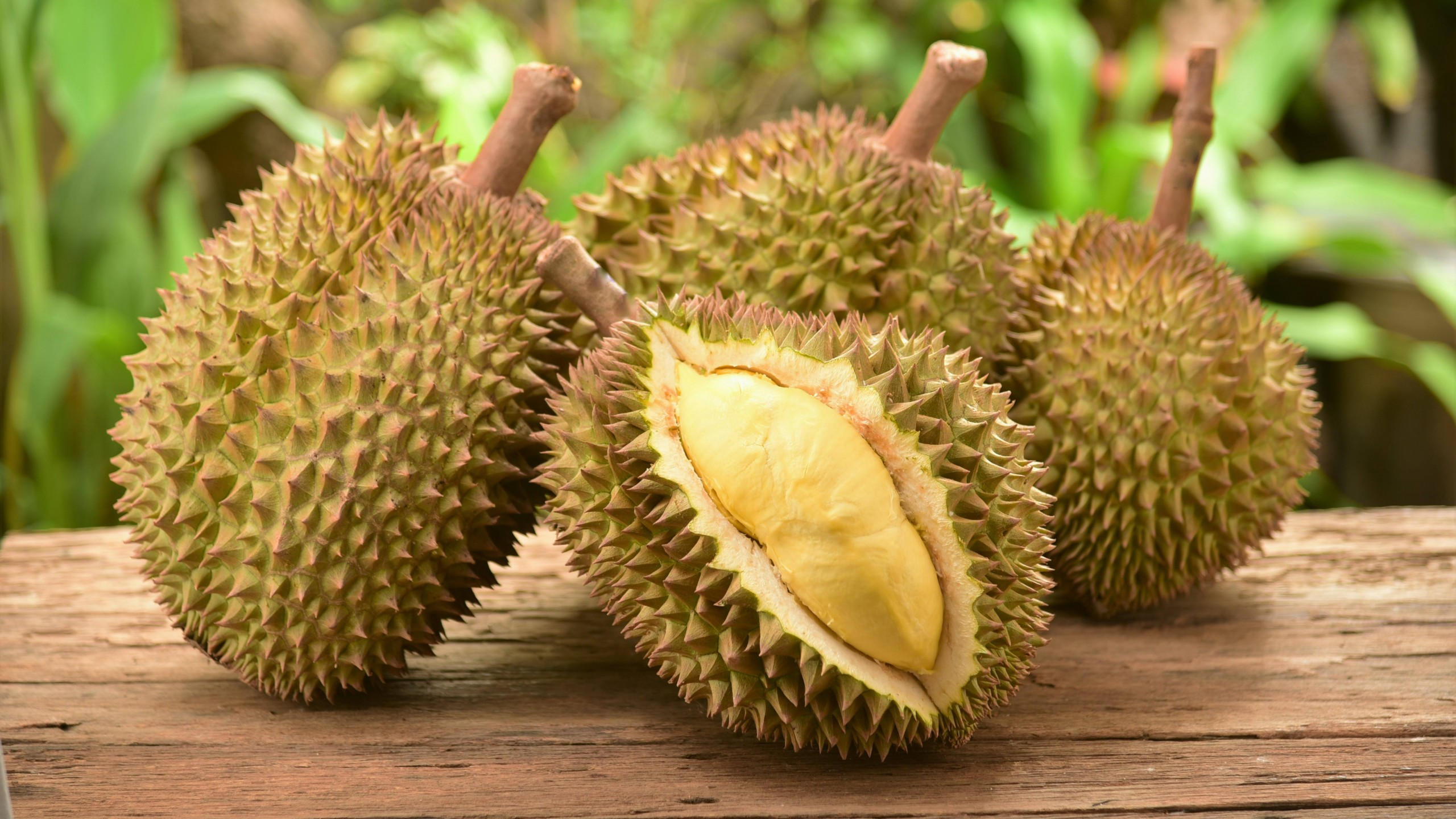 Durian 2560x1440 fruit 5k