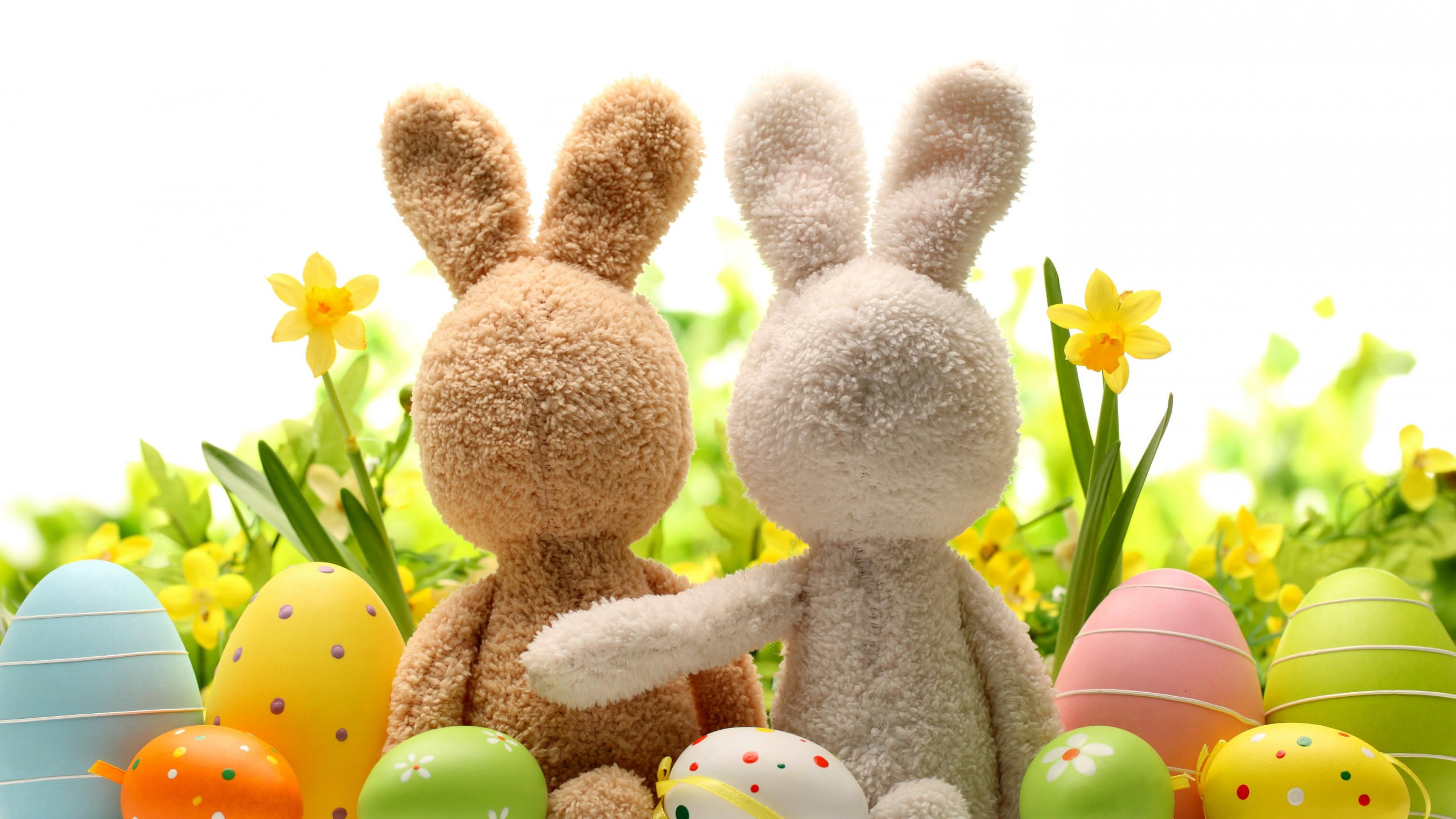 Easter 2560x1440 eggs flower rabbit 5k