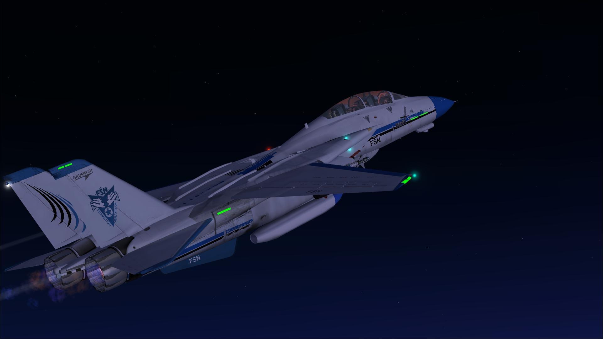 F 14 Tomcat 1