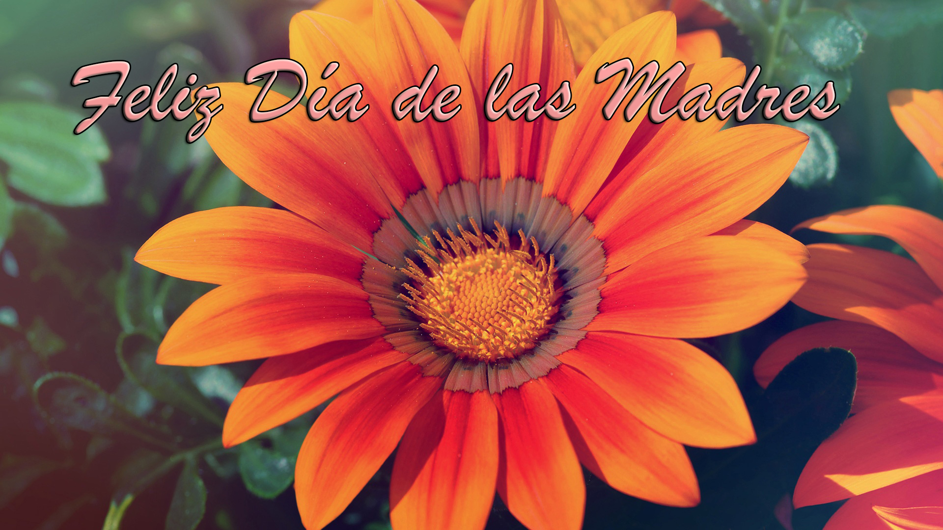 Feliz dia de las Madres