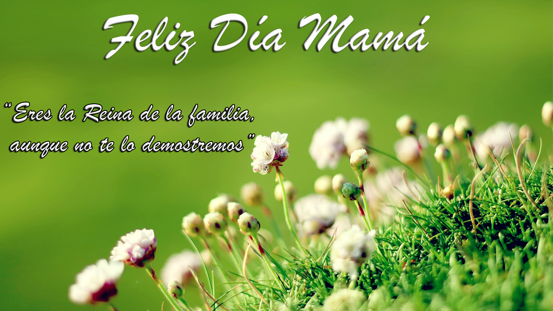 Feliz día Mamá