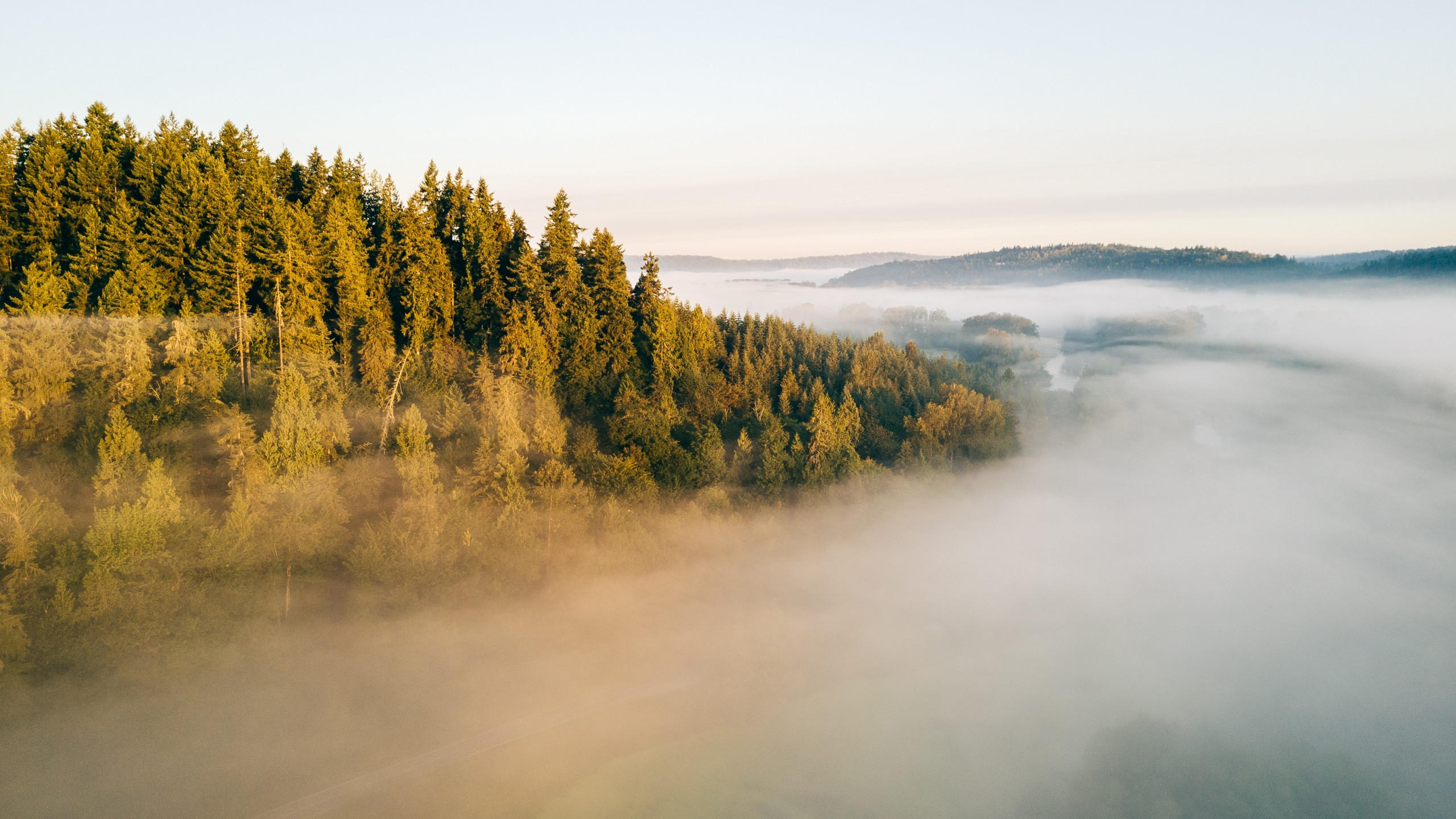 Fog 2560x1440 landscape 4k