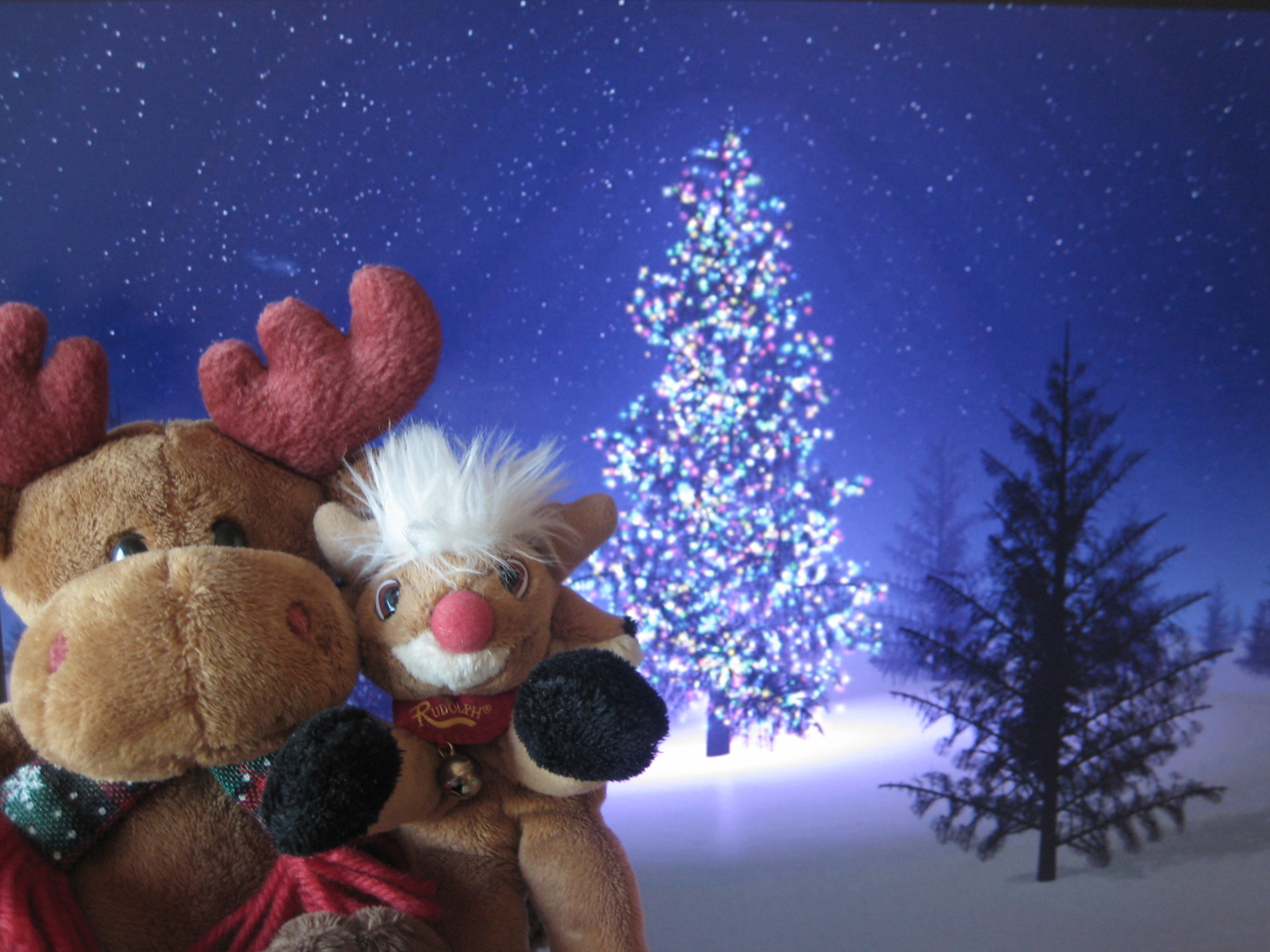 Fondo de pantalla arbol con luces blancas y reno peluche