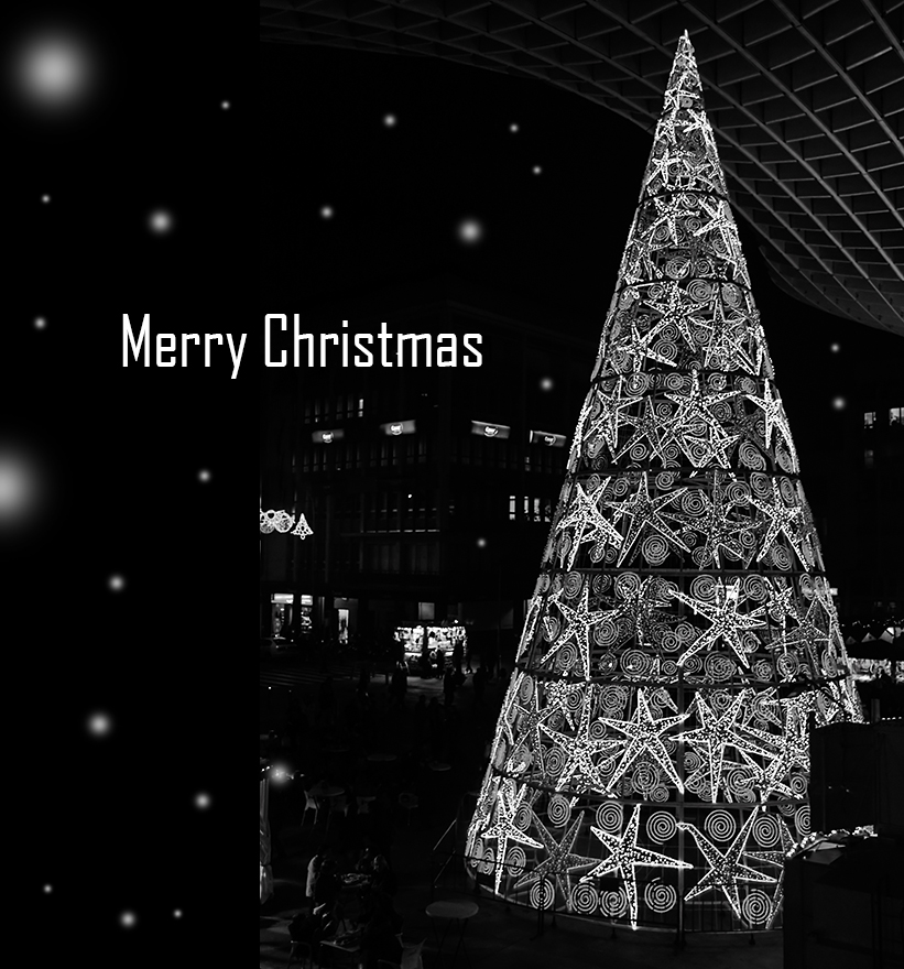 Fondo de pantalla arbol de estrellas