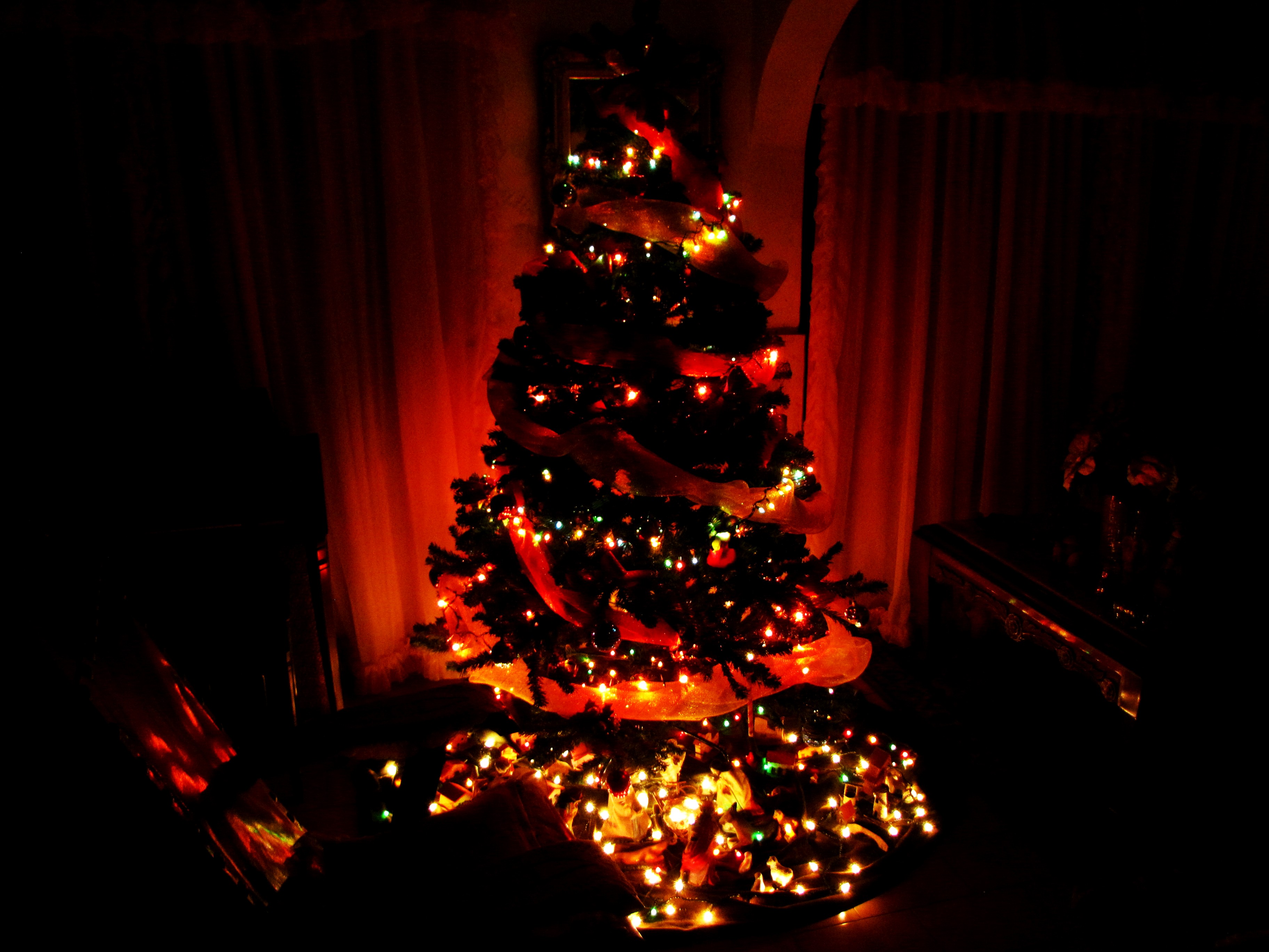 Fondo de pantalla arbol encendido en la oscuridad