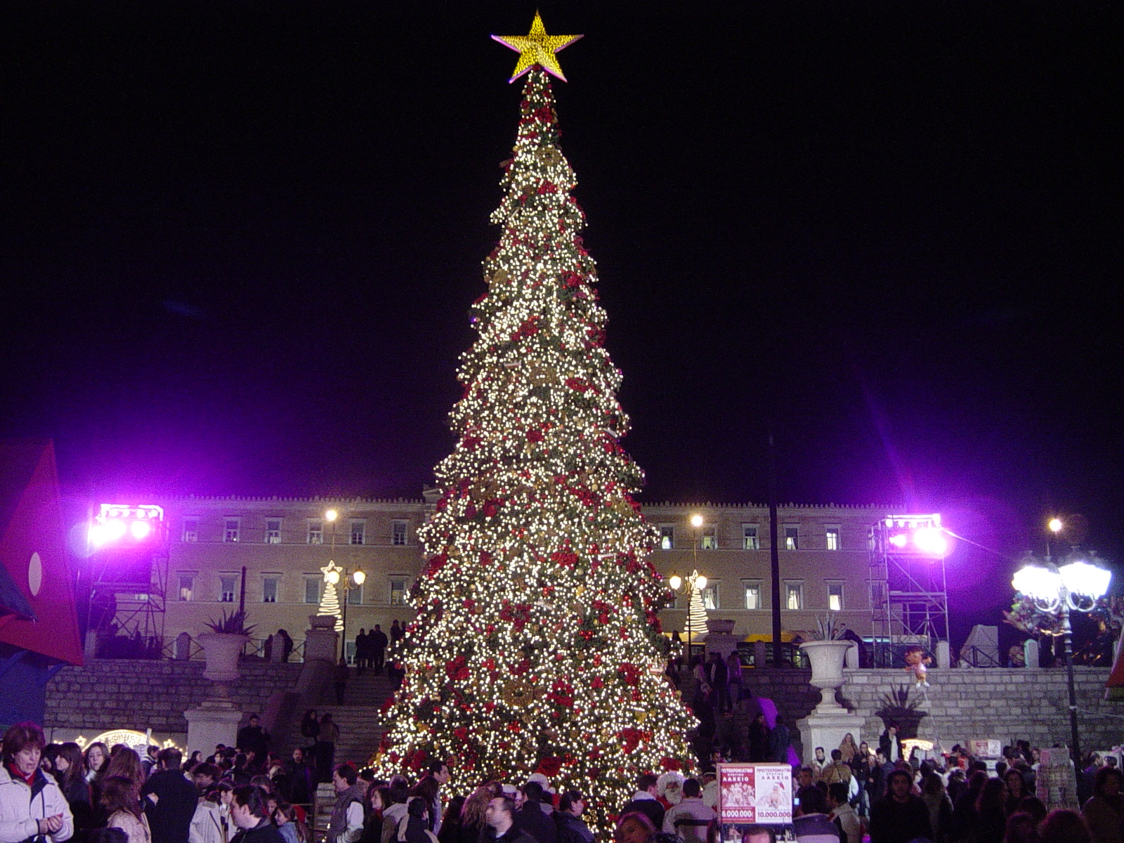 Fondo de pantalla arbol gigante en la ciudad