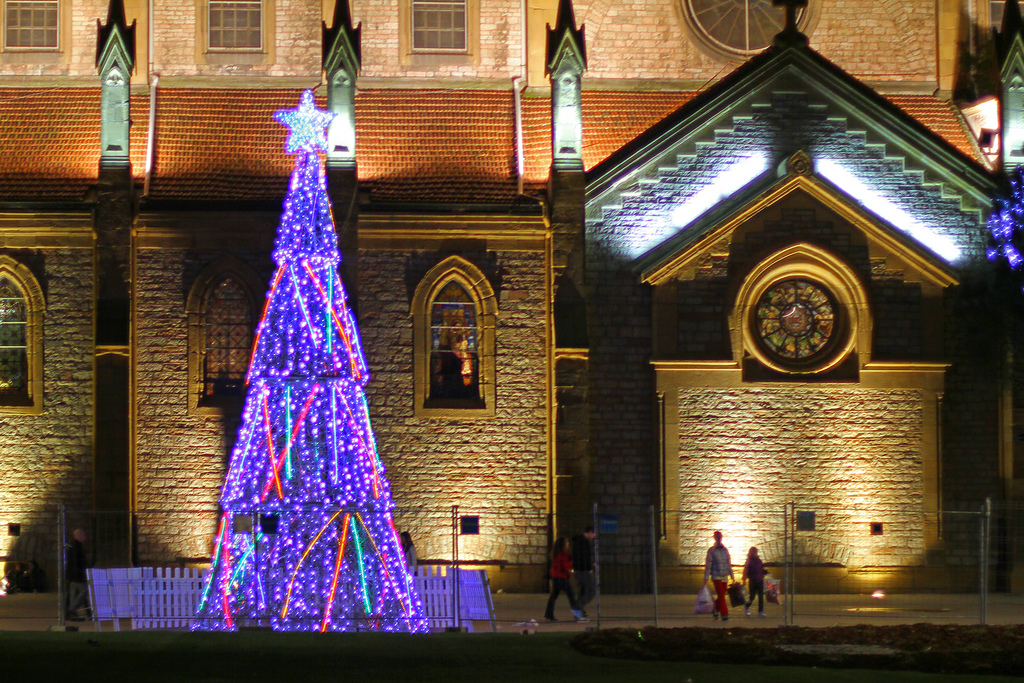 Fondo de pantalla arbol navideño con baston de colores