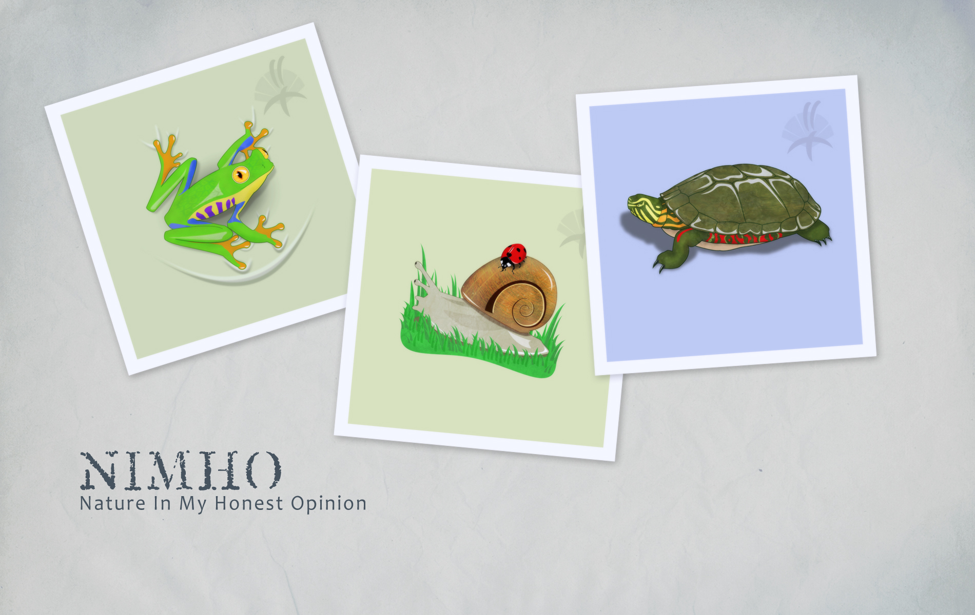 Fondo de pantalla collage de animales