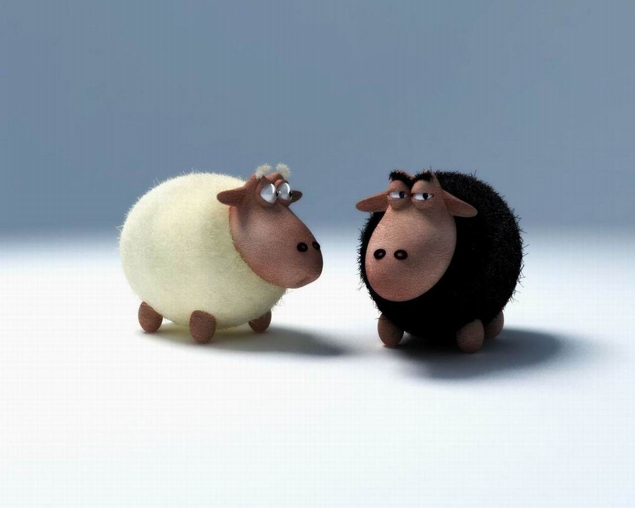 Fondo de pantalla ovejas mirandose