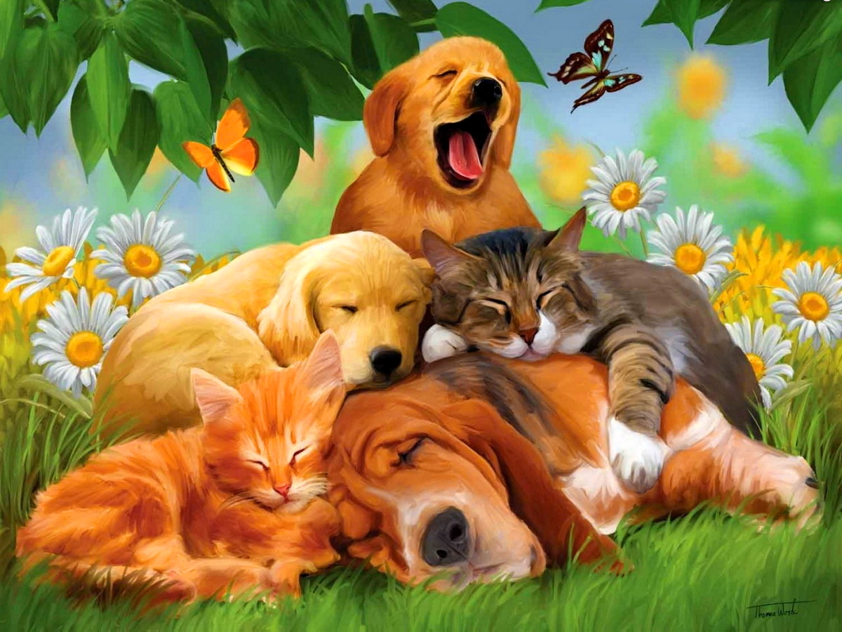 Fondo de pantalla pintura de perros y gatos