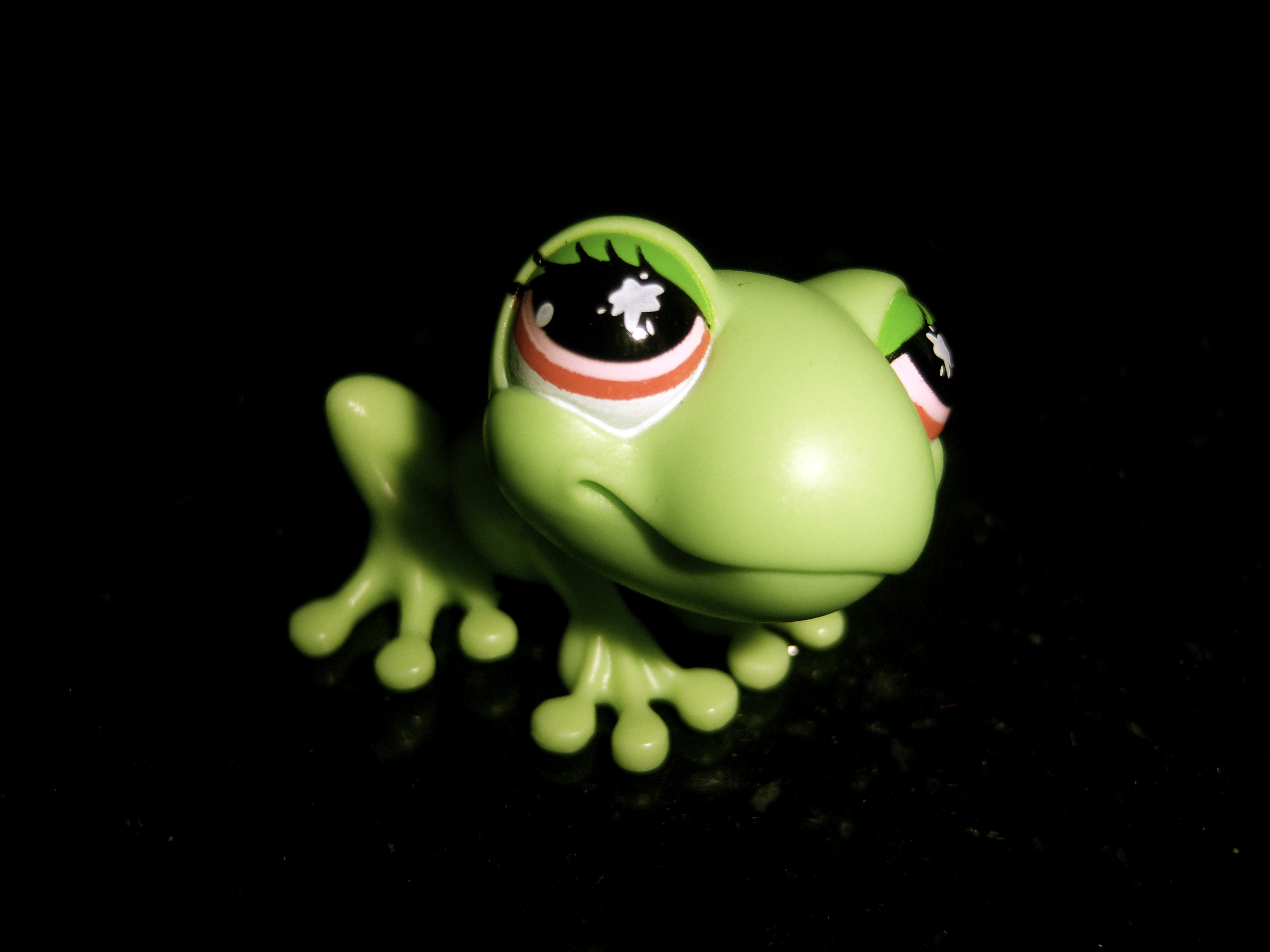 Fondo de pantalla rana hermosa