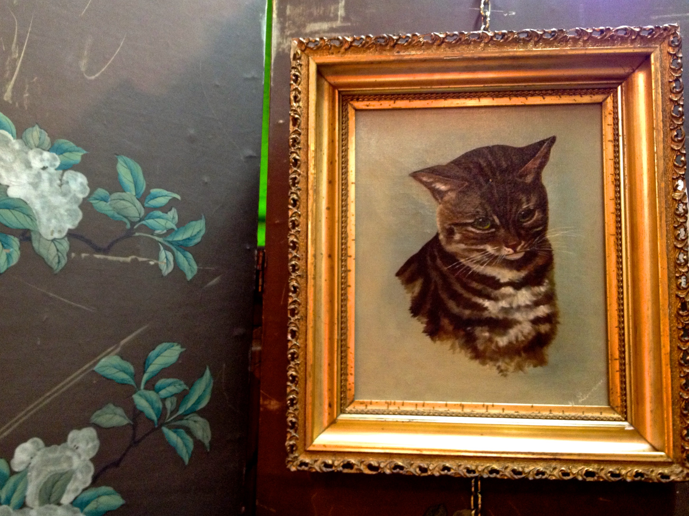 Arte de gato vintage en marco para fondo de pantalla 4K