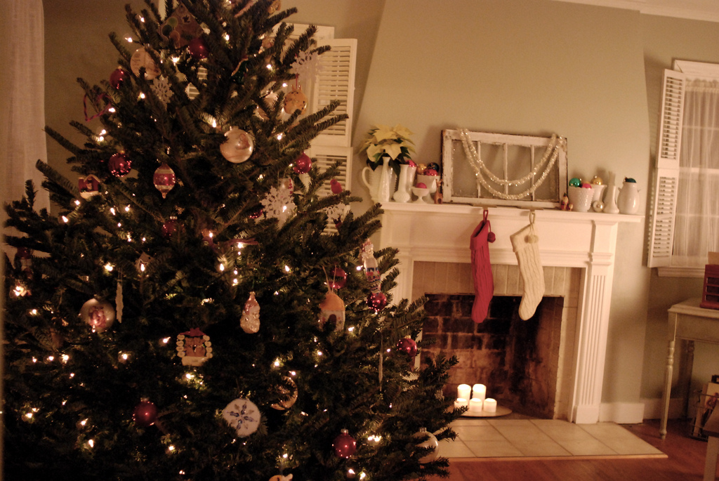 Fondos de pantalla arbolito en la sala