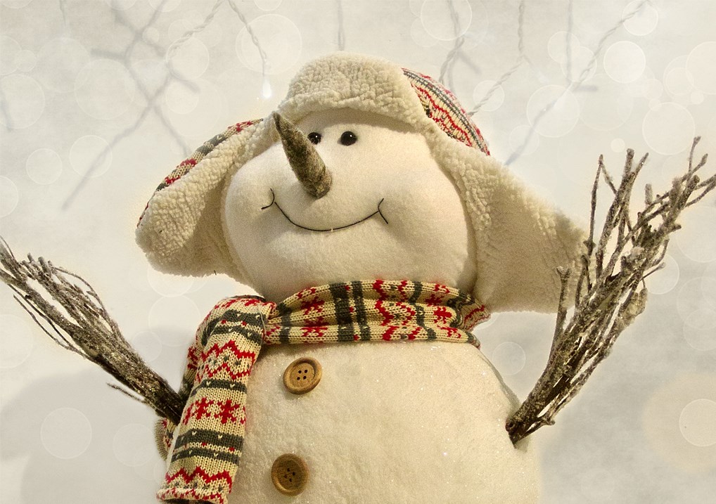 Fondos de pantalla muñeco de nieve equipado