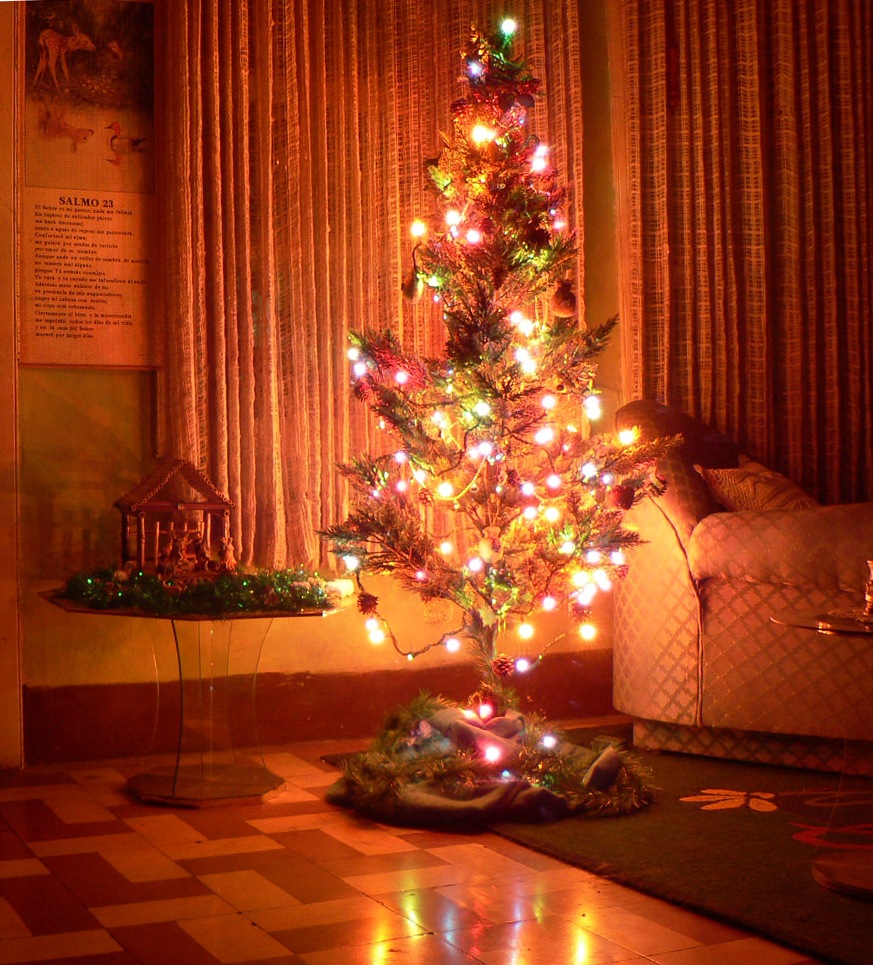 Fondos hd arbol pequeño con luces grandes