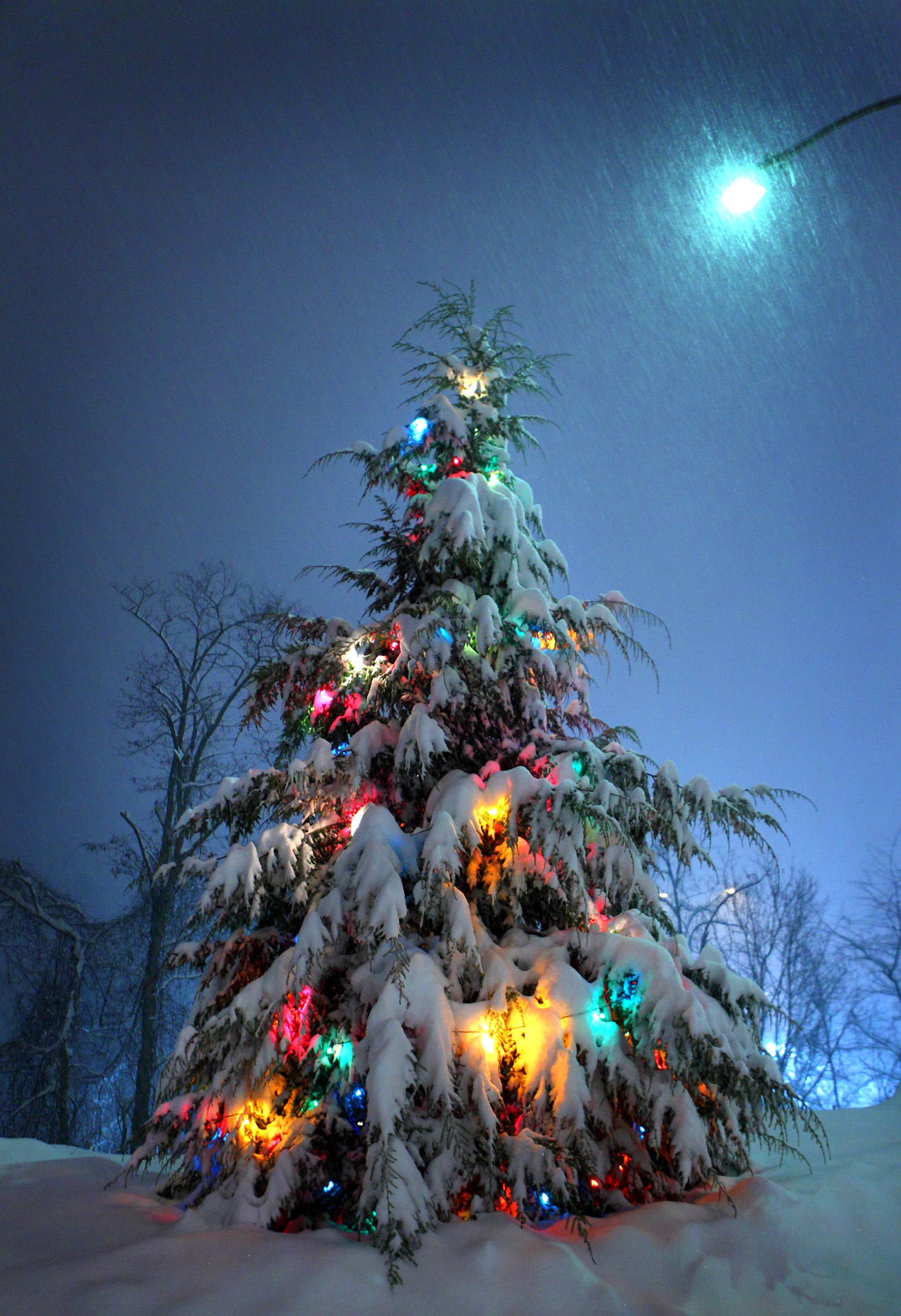 Fondos hd arbolito con copos de nieve