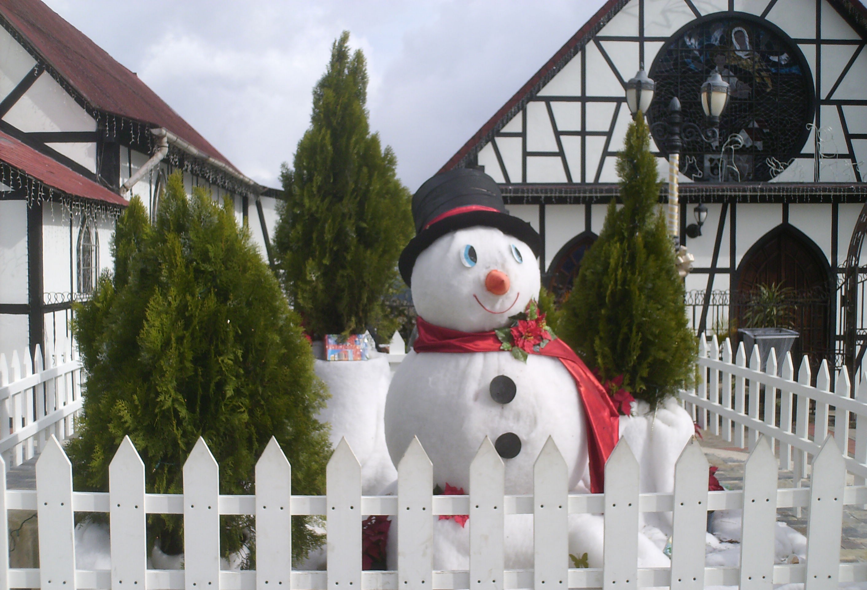 Fondos hd muñeco de nieve junto a pinos