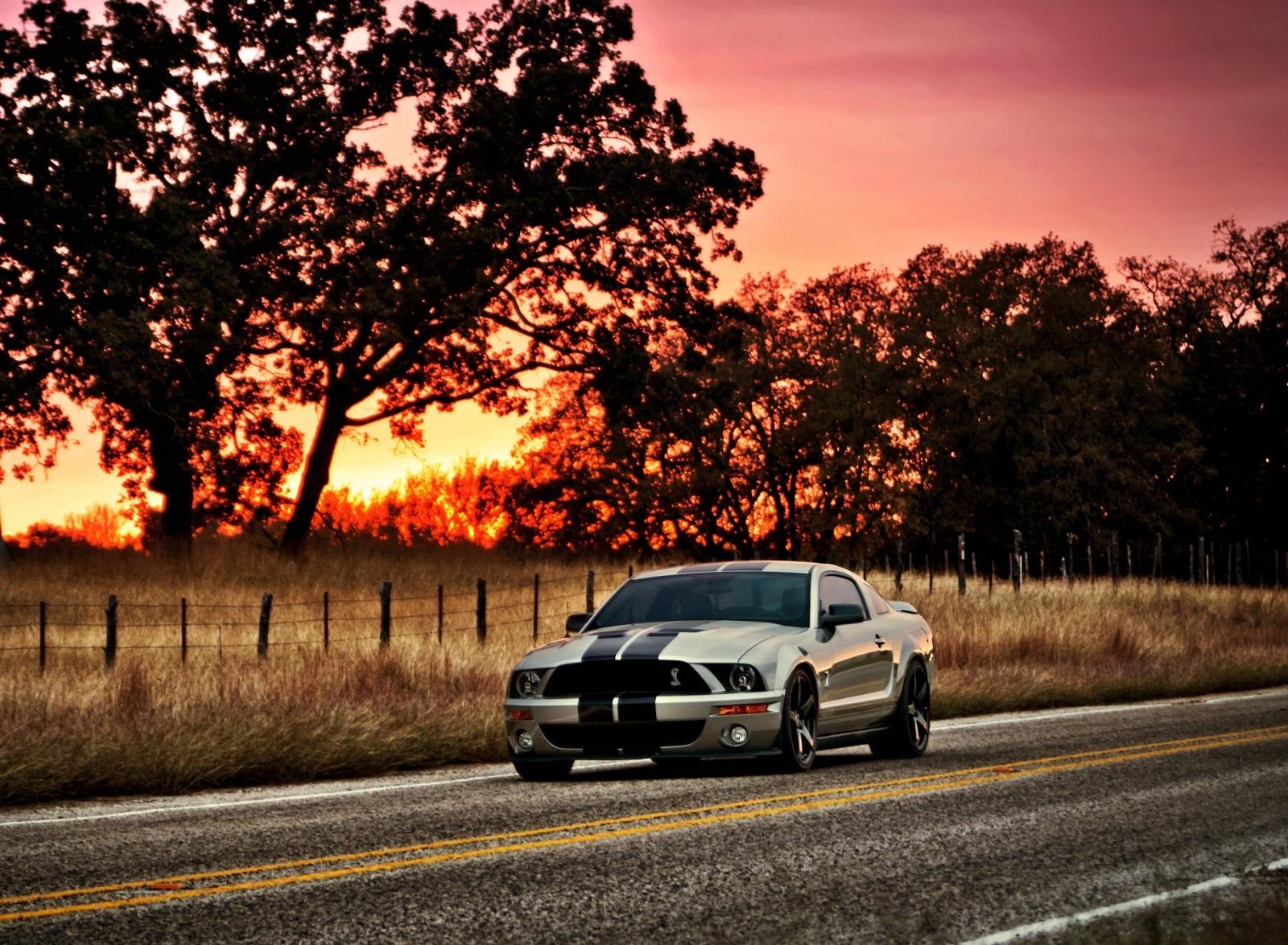 Ford Shelby HDR wallpaper
