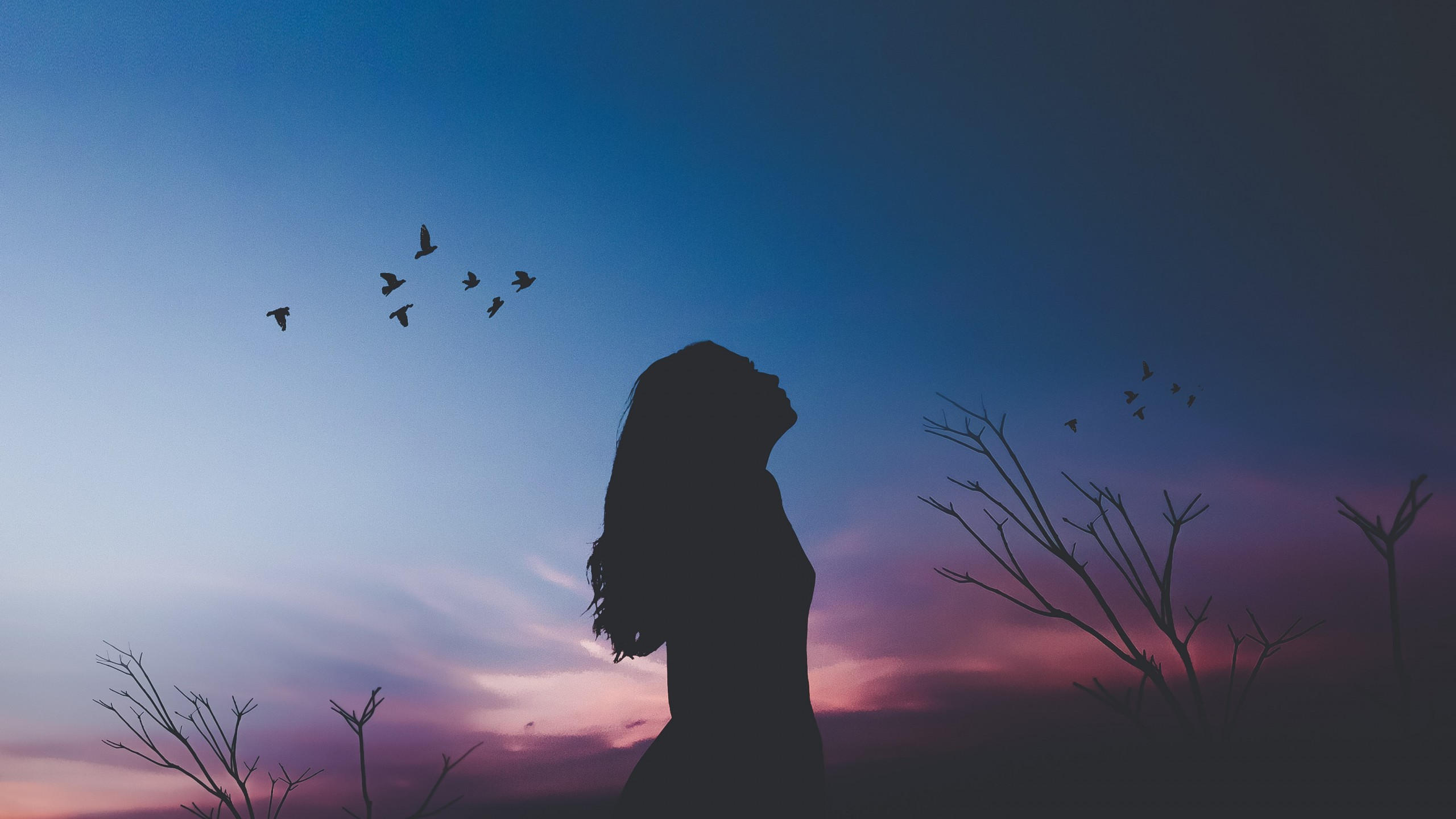 Girl 2560x1440 silhouette shadow 4k