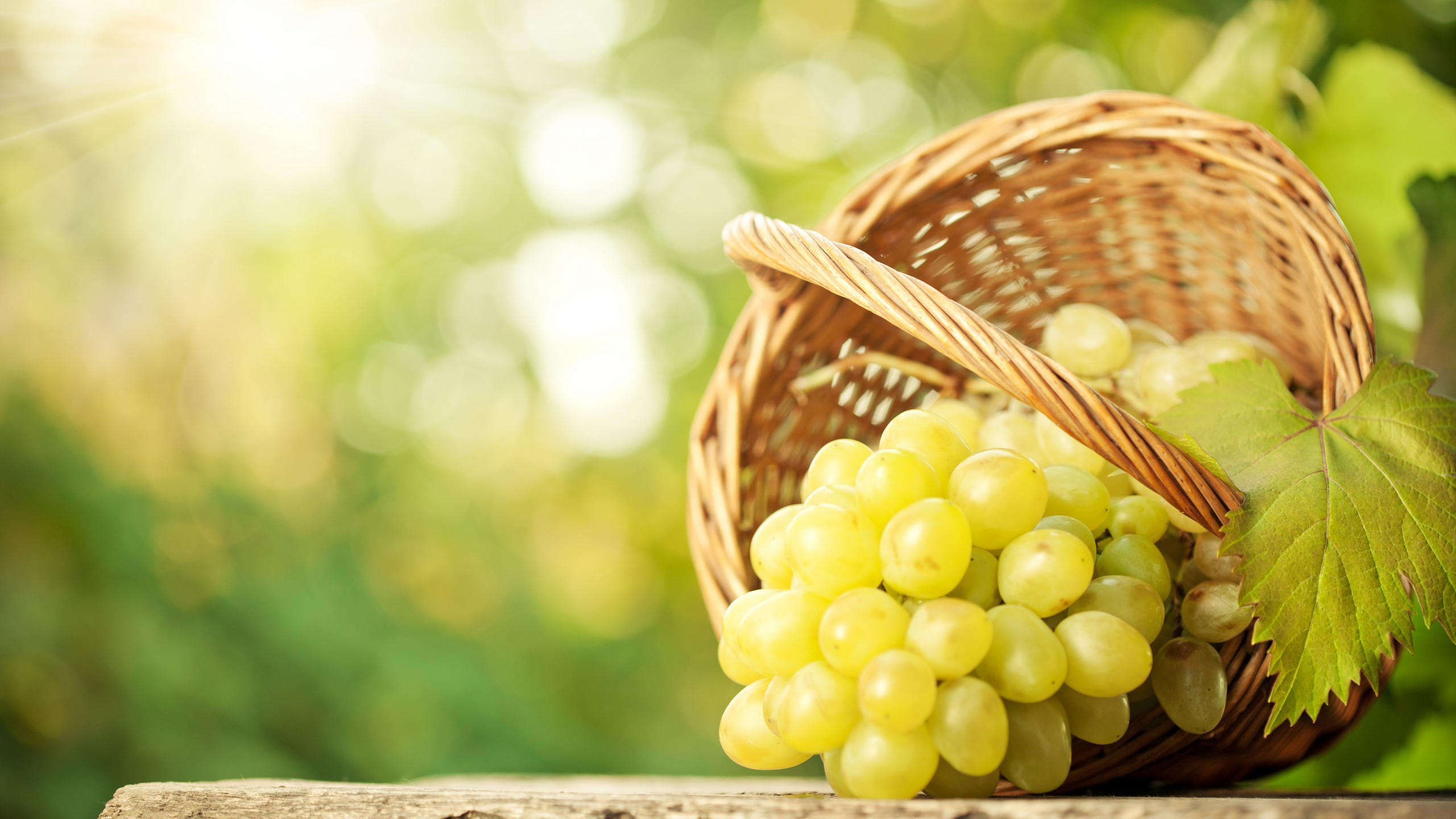 Grapes 2560x1440 8k