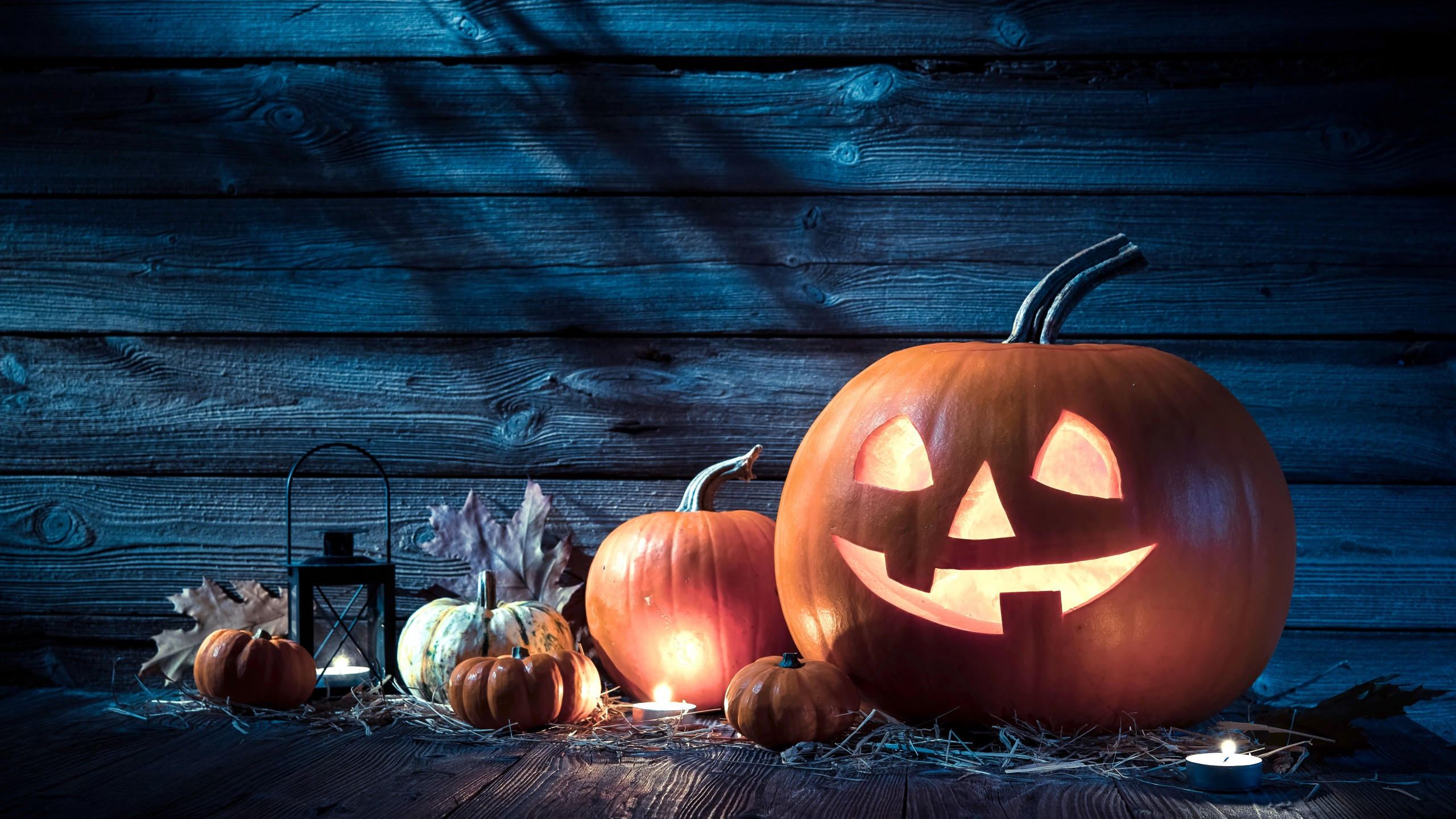 Holiday 2560x1440 halloween 31 october pumpkin host