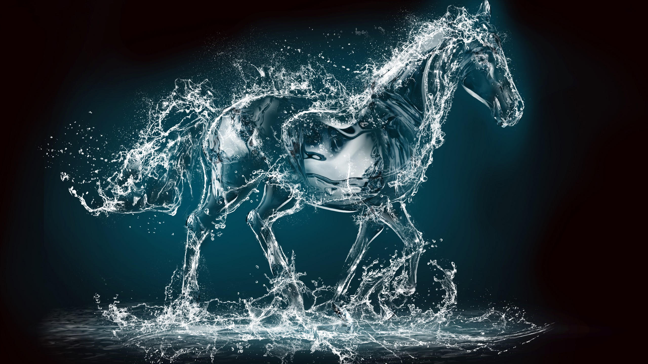 Horse 2560x1440 water transparent 10k