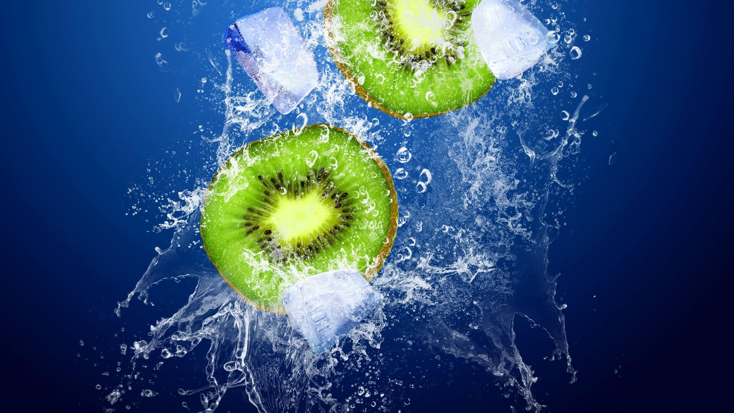 Kiwi 2560x1440 ice underwater 4k