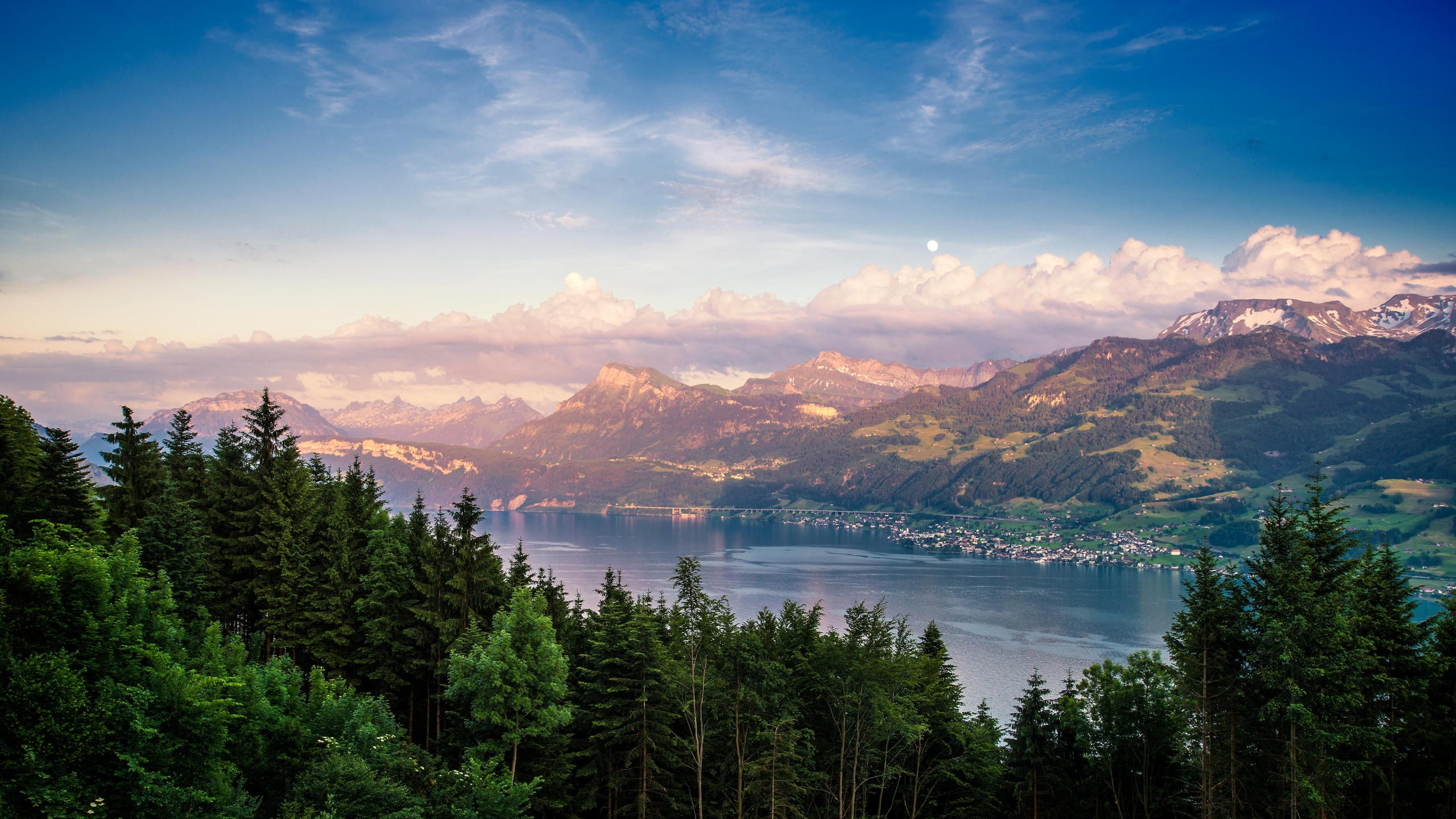 Lake zurich 2560x1440 forest sky mountains 4k